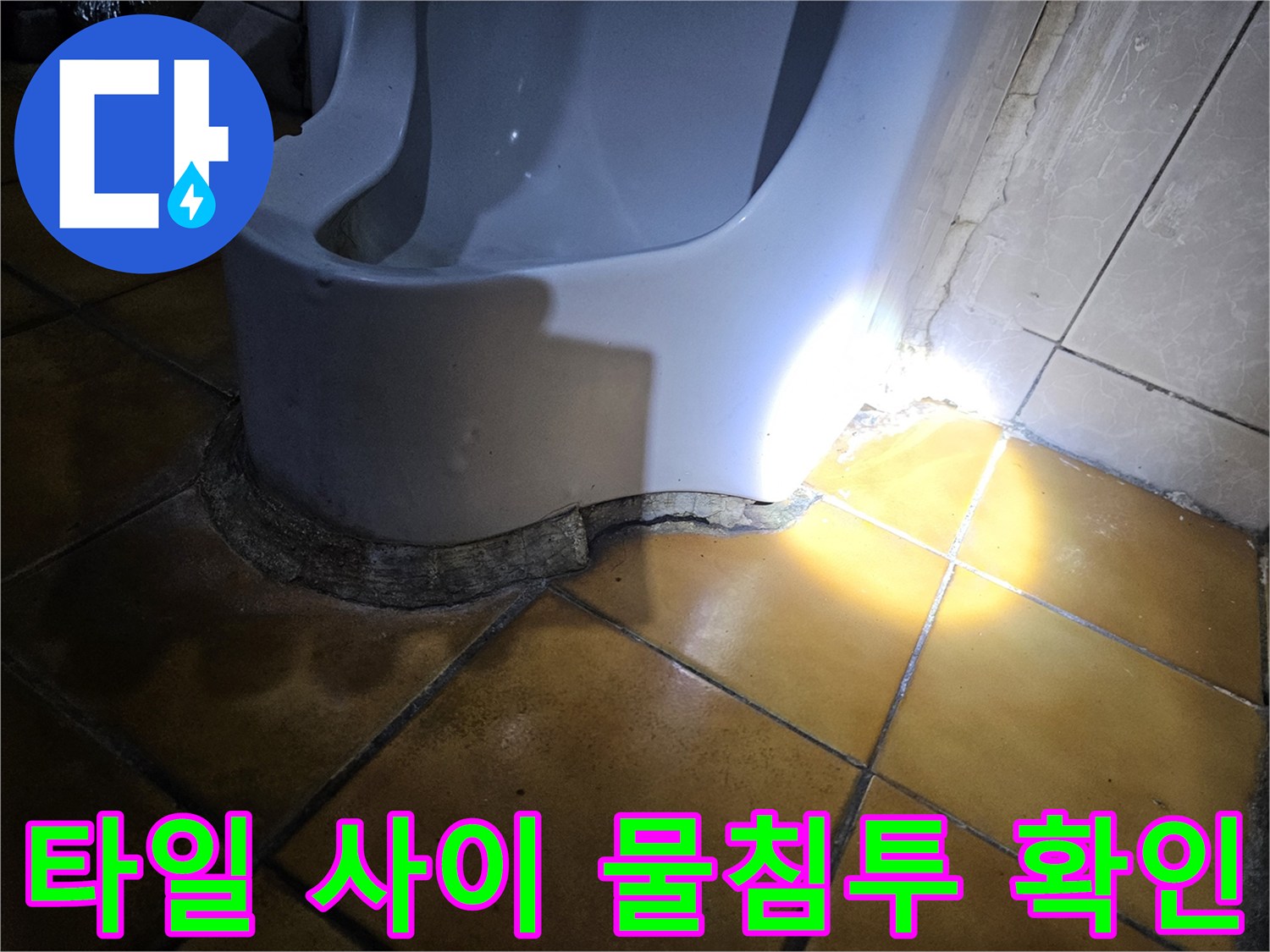 가락동 현장-축축하게 젖은 천장 타일 줄눈 부위