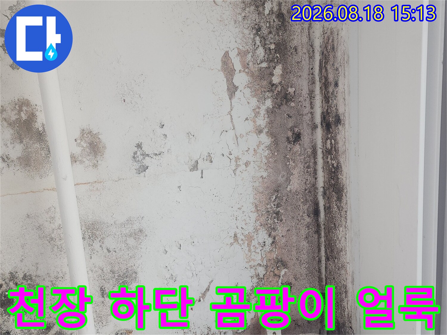 천장과 벽면 접합부-심하게 오염된 곰팡이와 누수 흔적 현장