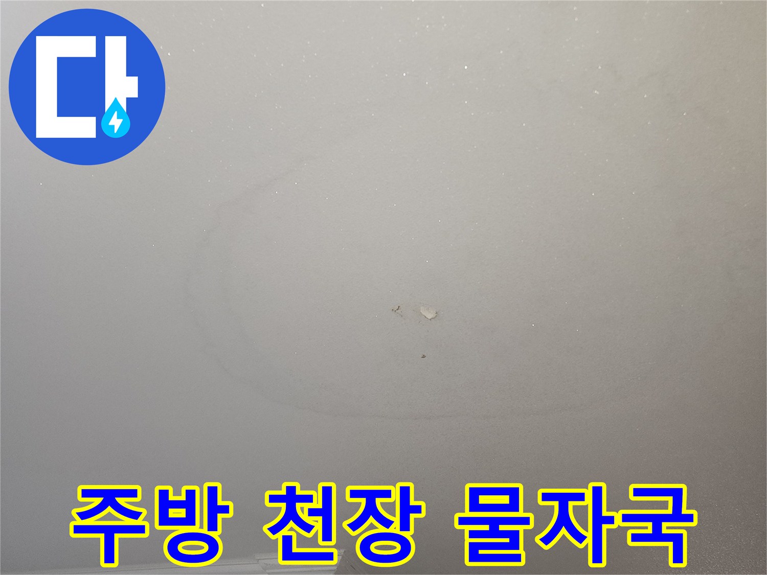 천장 중앙부에 형성된 둥근 형태의 젖은 부위