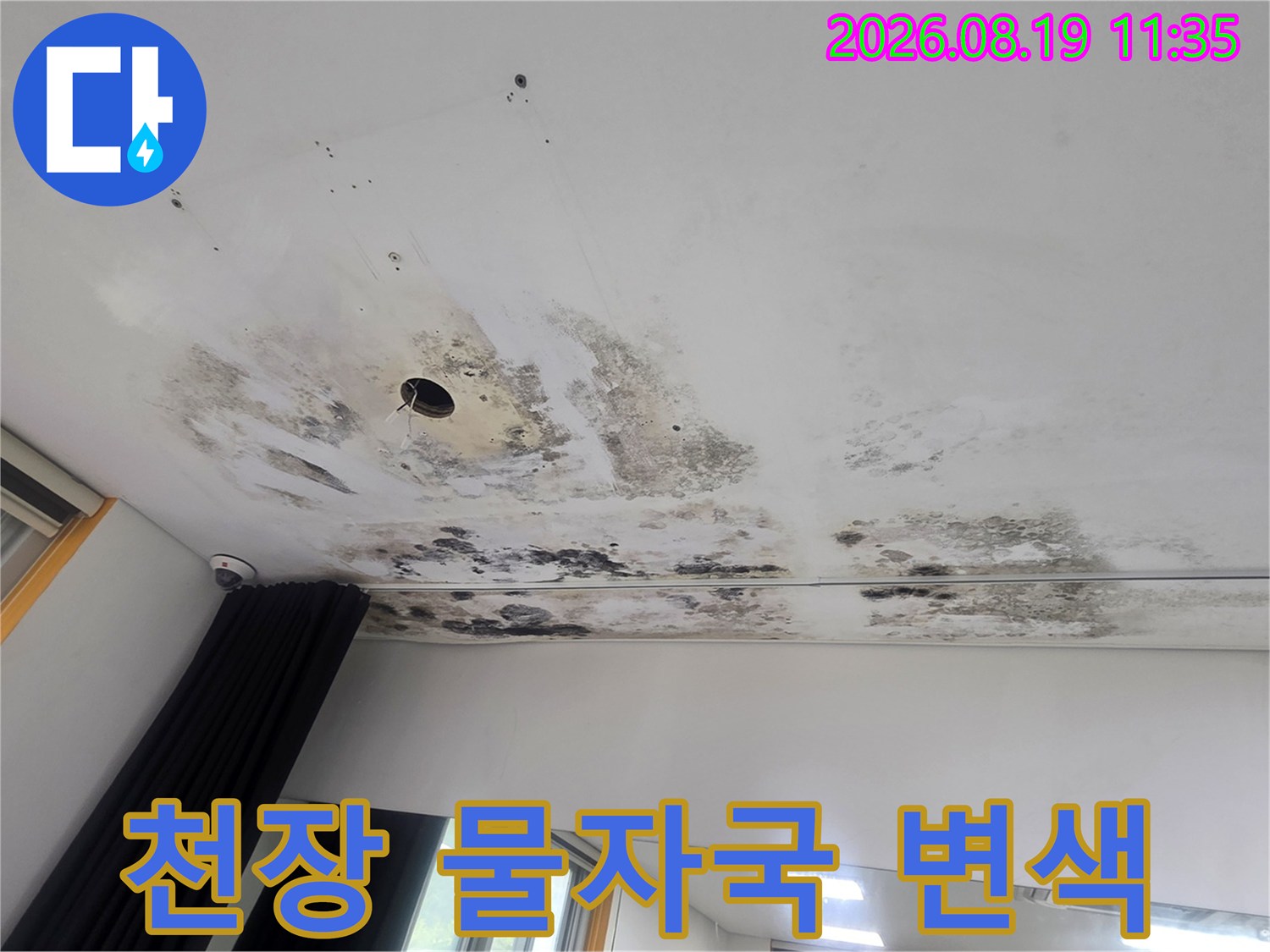 천장 마감재-누수로 인한 곰팡이와 얼룩 발생