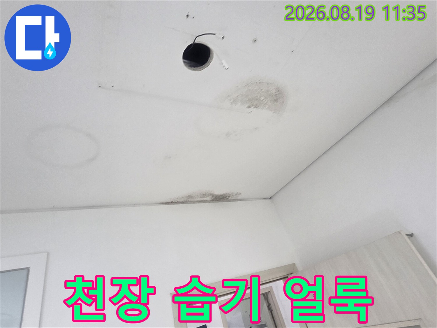 천장 매립등 주변에 번진 물자국과 곰팡이 흔적