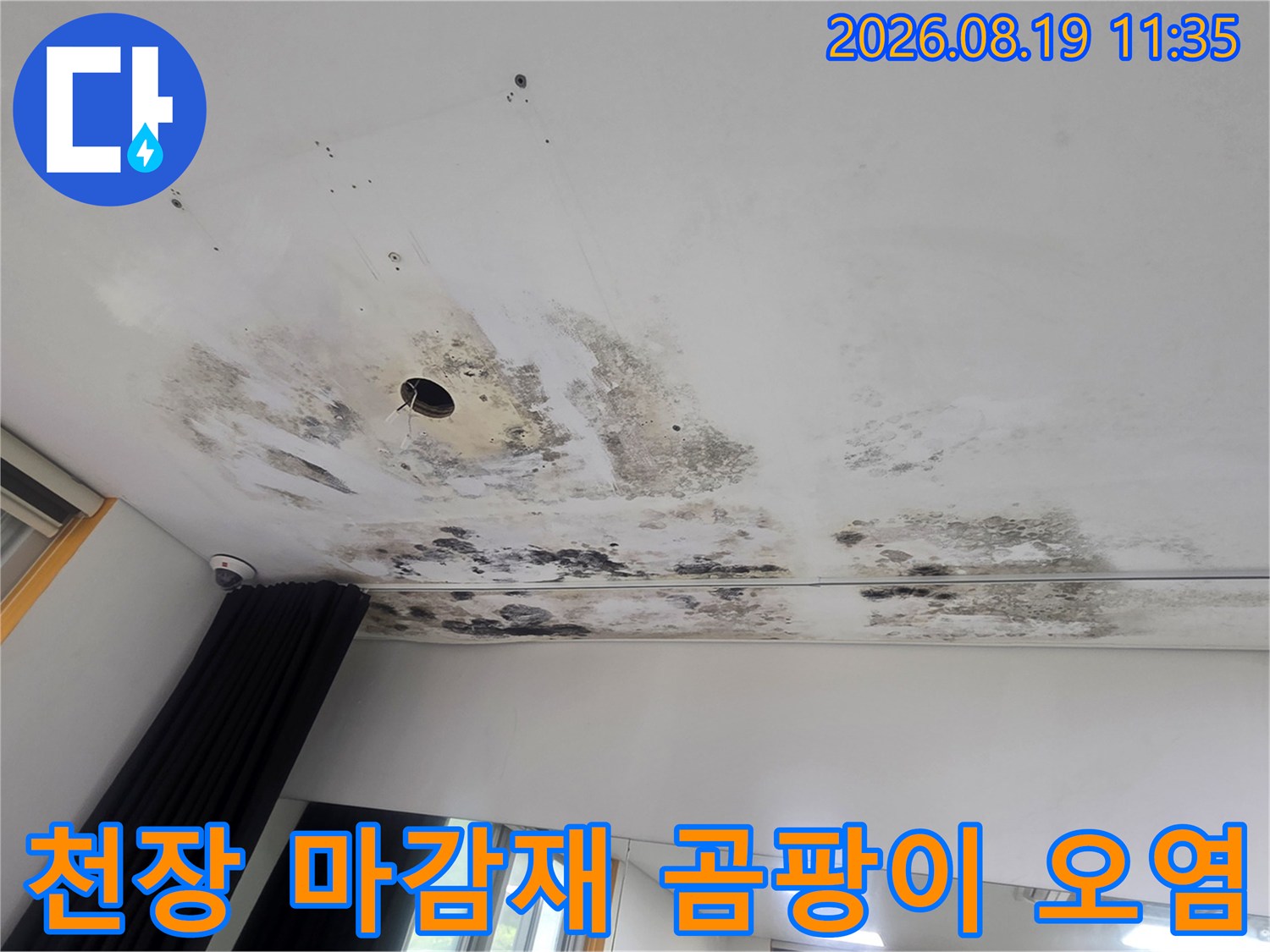 천장 면 전체에 나타난 광범위한 곰팡이와 물 얼룩 흔적