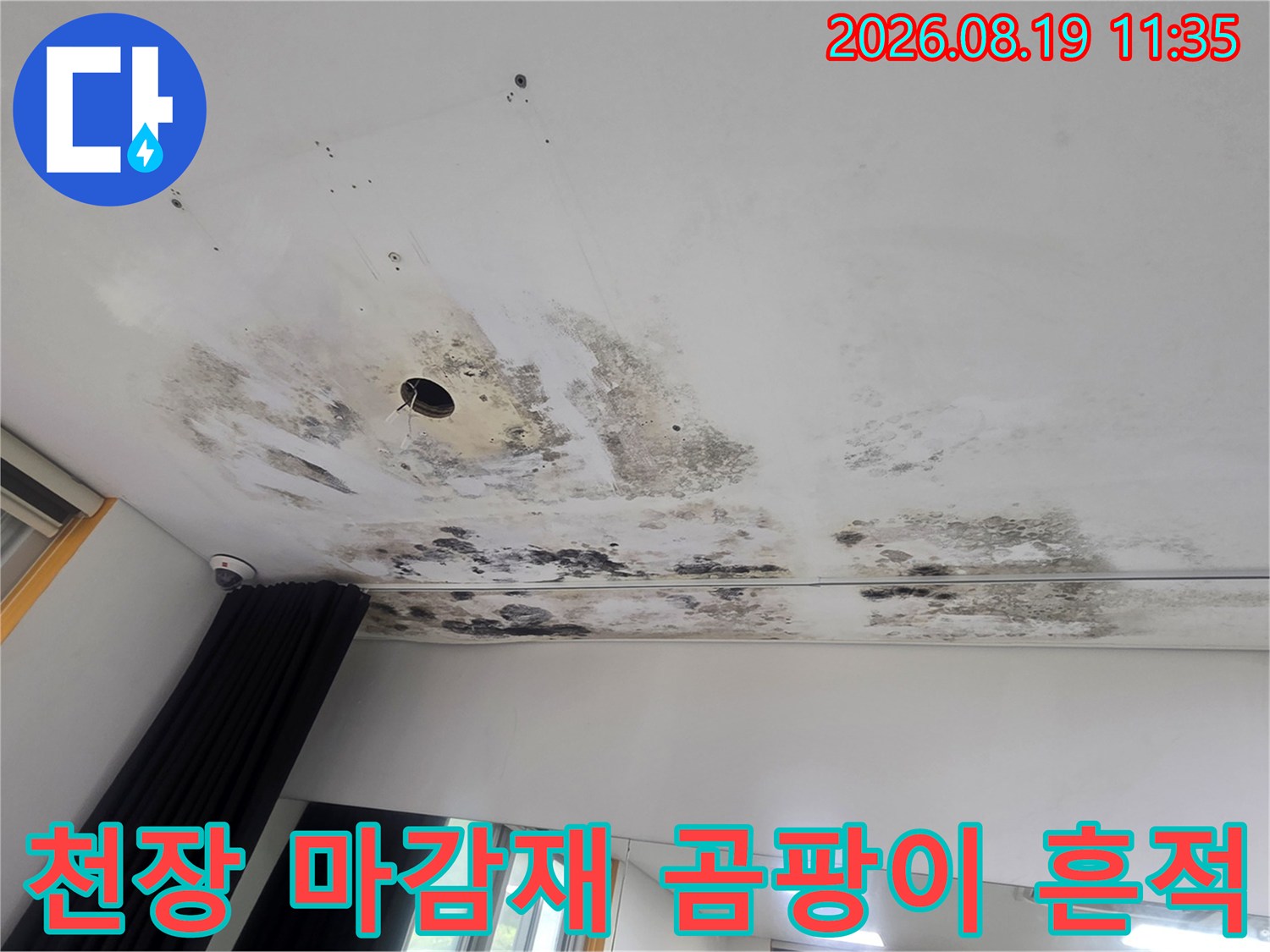 천장 조명 구멍 주변의 심한 곰팡이와 수분 오염