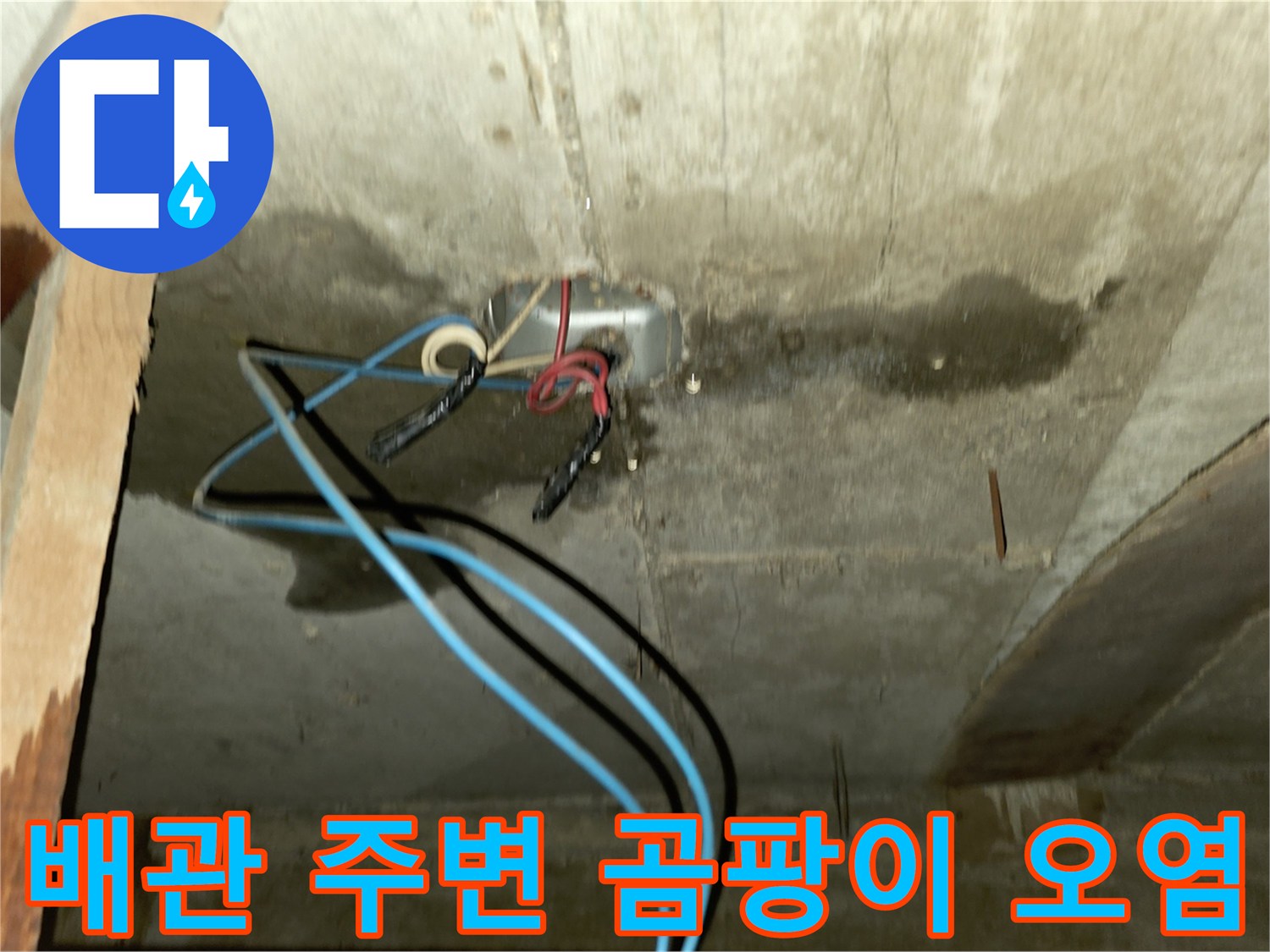 천장 배관 연결 부위-습기로 인해 발생한 검은 곰팡이와 얼룩