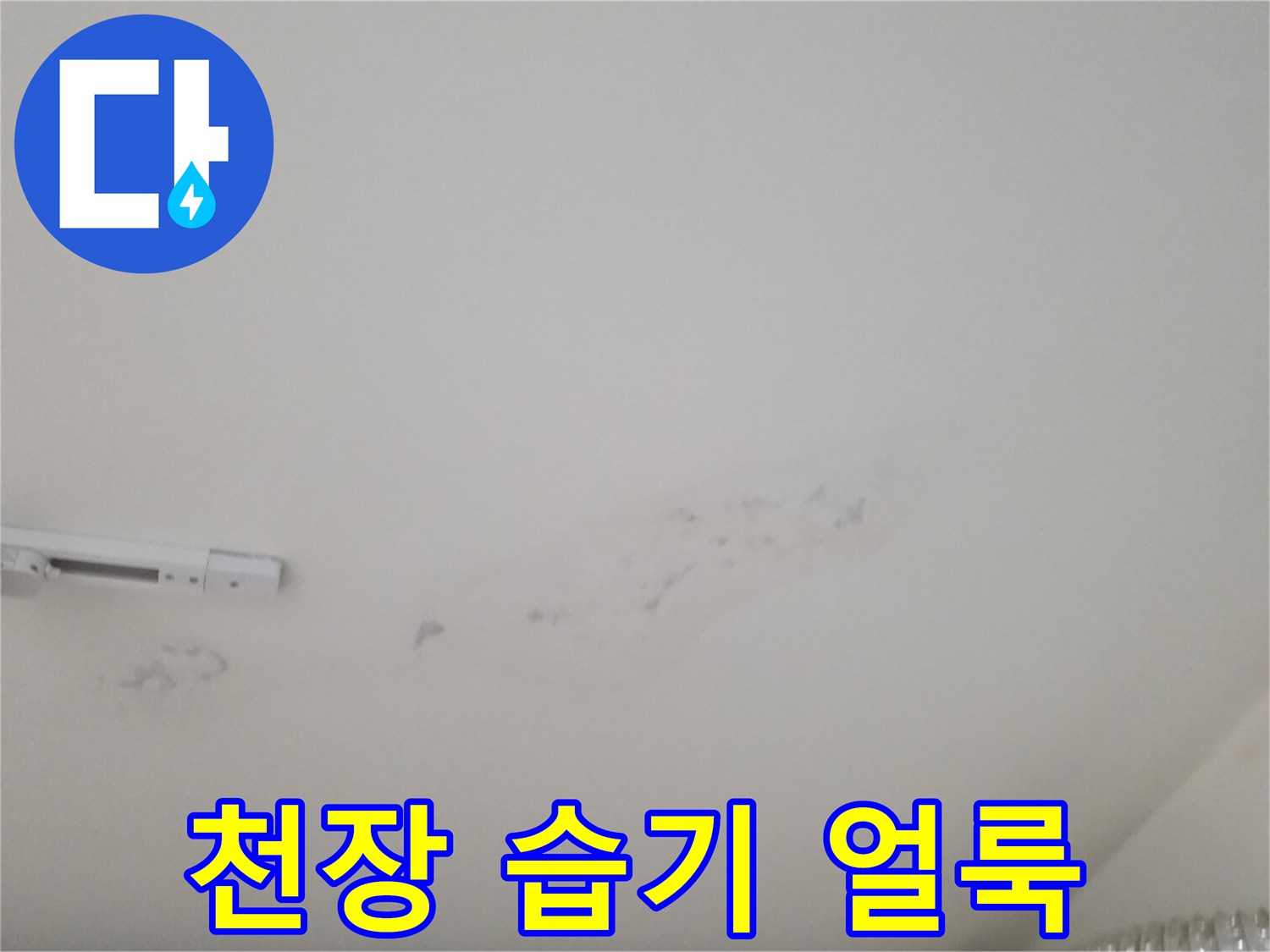 천장 도배면에 나타난 수분 침투 및 변색 흔적