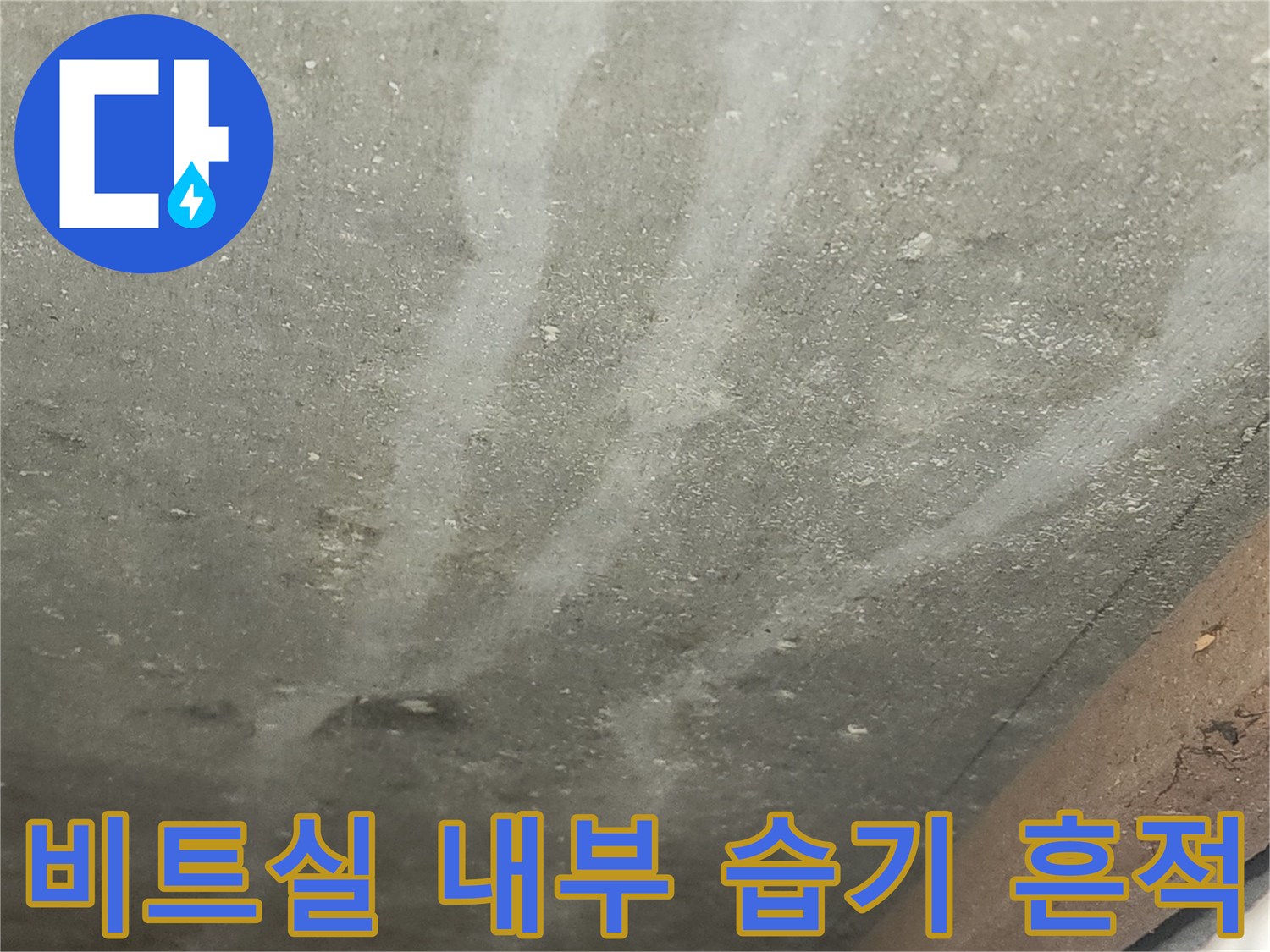 청천동 비트 공간-습기로 인해 변색된 배관 주변 벽면