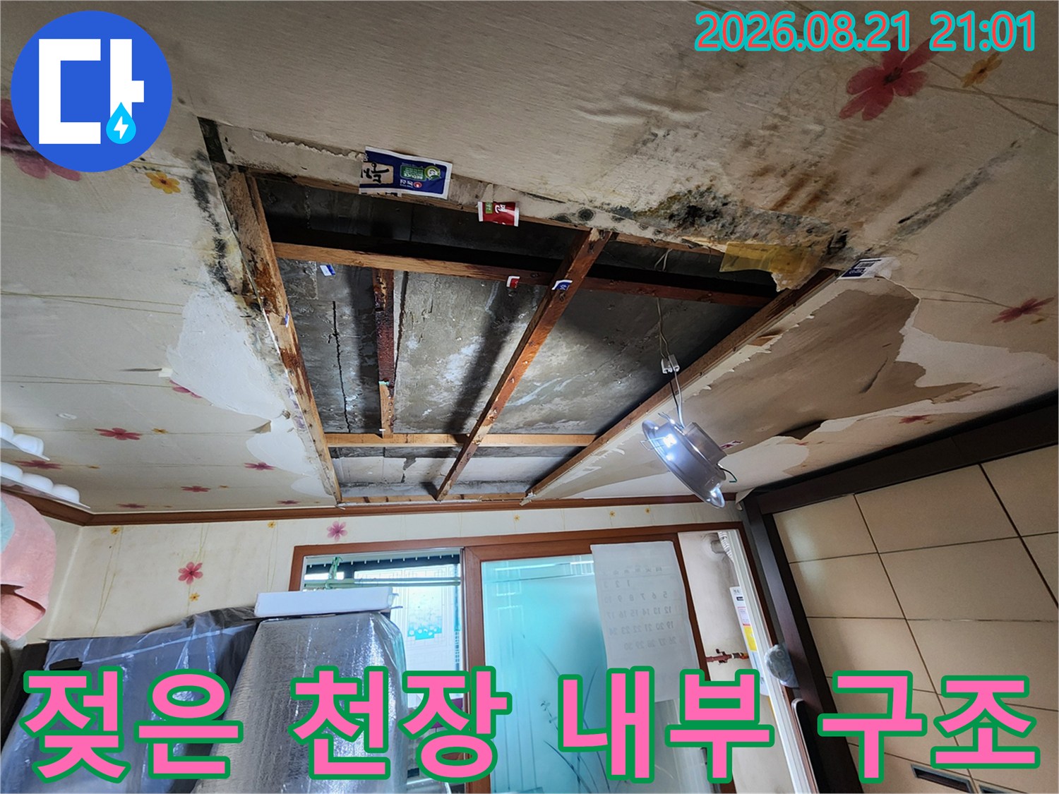 천장 마감재가 벗겨져 드러난 곰팡이 핀 내부 모습
