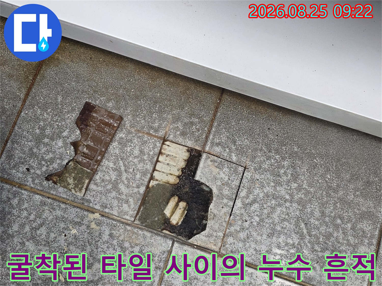인천 신현동 현장의-타일을 걷어낸 후 드러난 배수구 주변 누수 지점입니다.