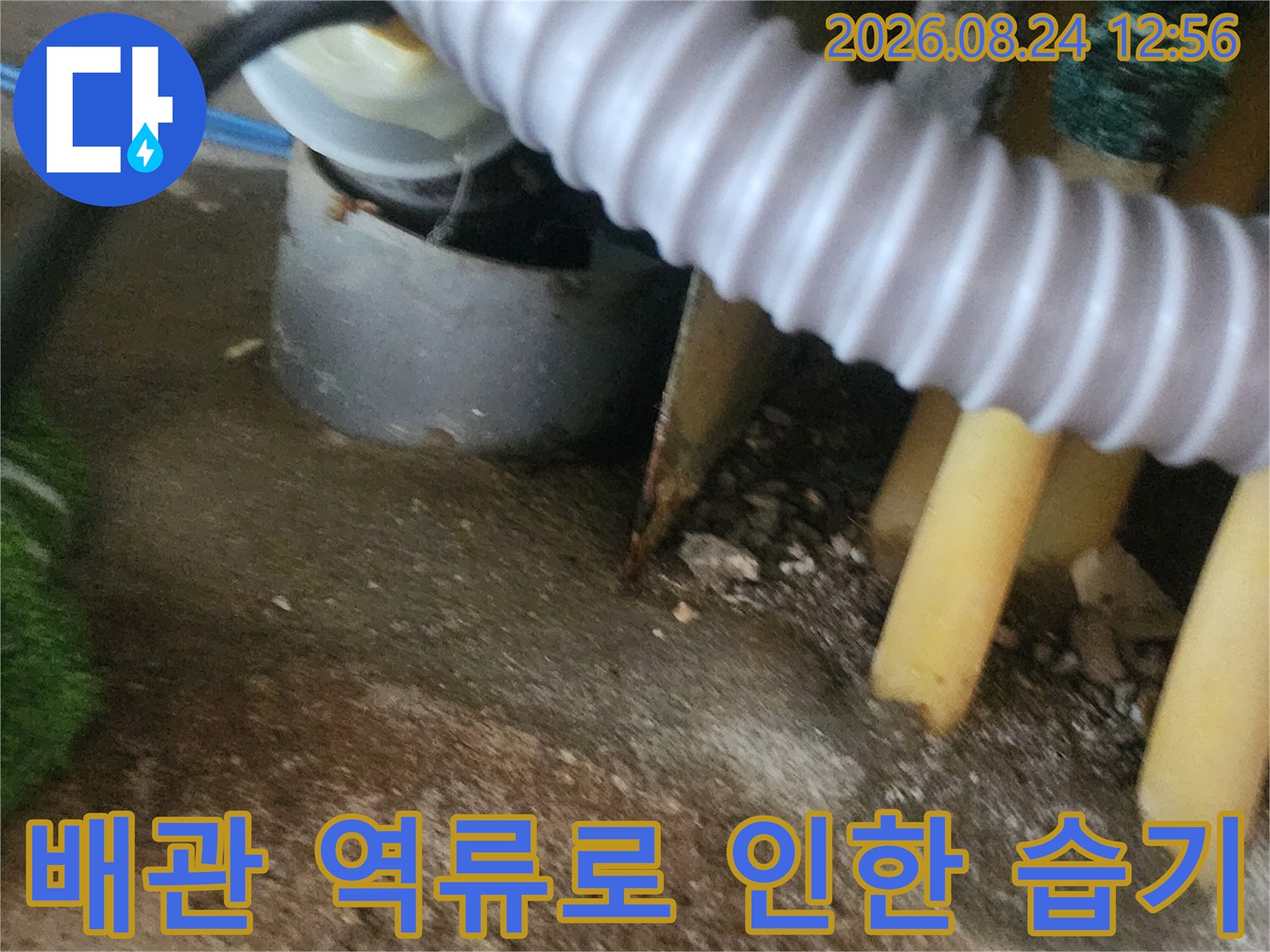 싱크대 하부 배관 주변에 물이 스며들어 있는 역류 현장 상황