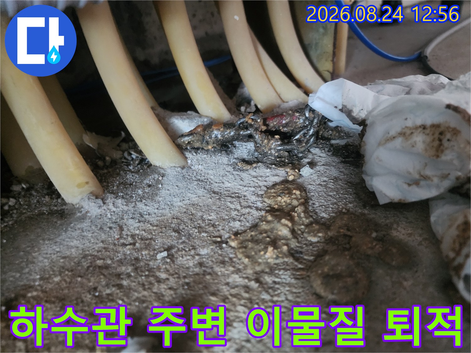 하얗게-굳은-슬러지와-오수가-스며든-싱크대-배관-하부