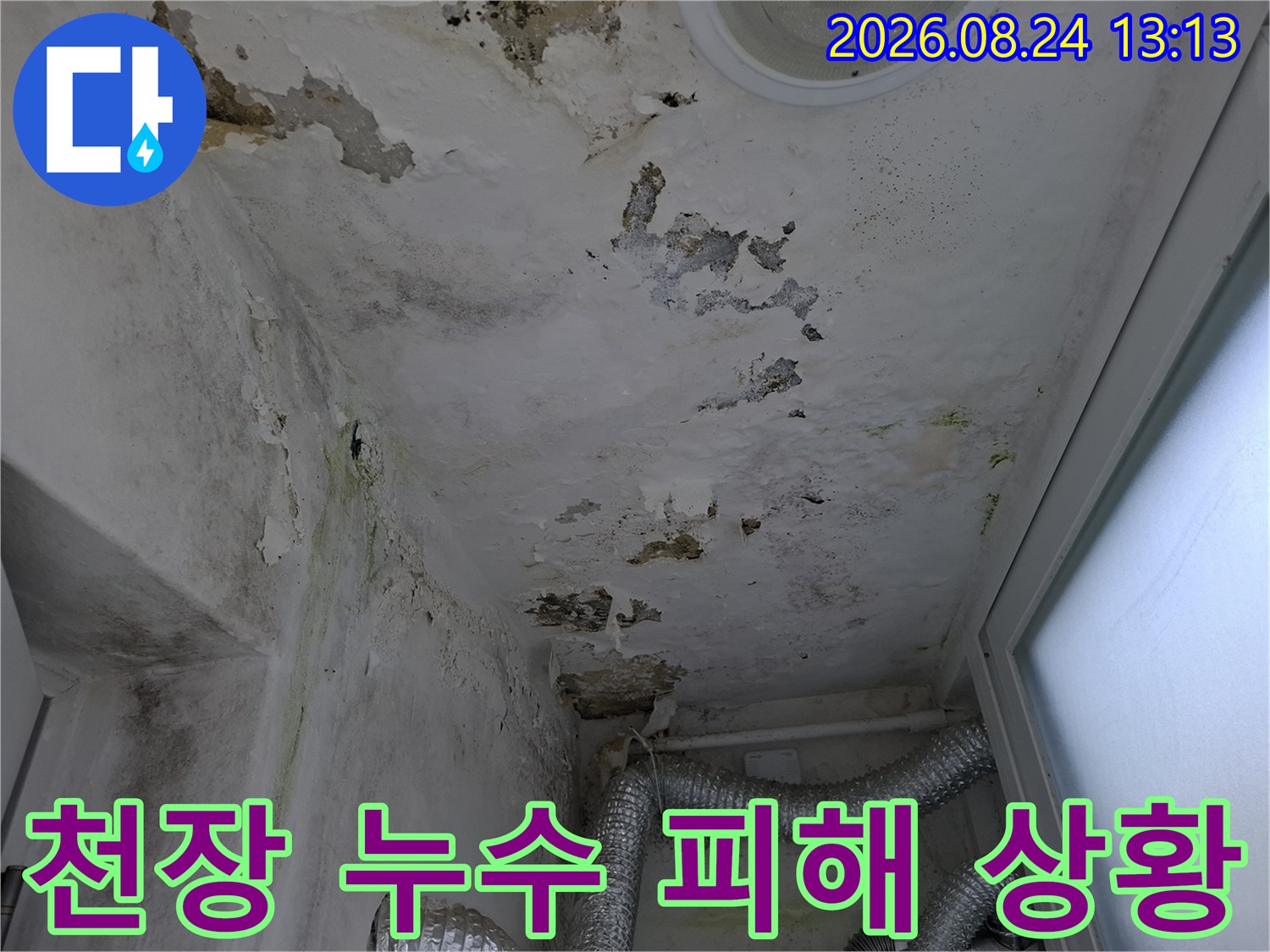 물샘으로 인해 얼룩지고 곰팡이가 생긴 주방 천장 내부 마감면