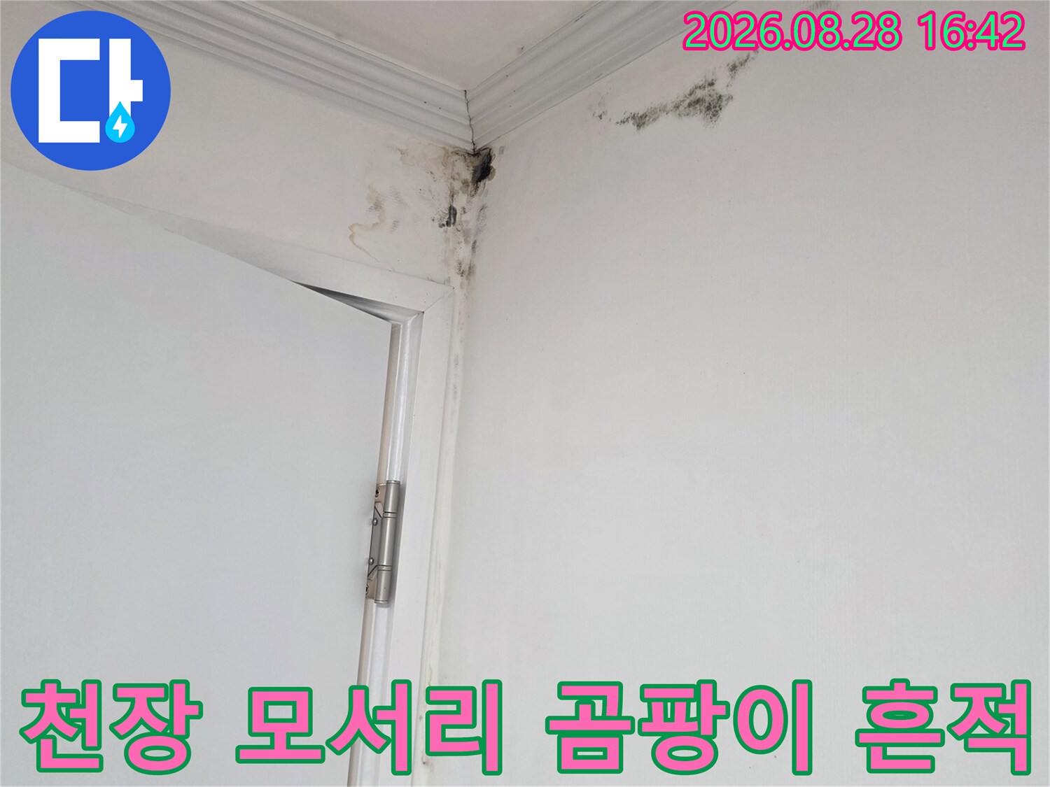 용인 기흥구 상하동 아파트 천장 모서리에 발생한 검은색 곰팡이와 얼룩