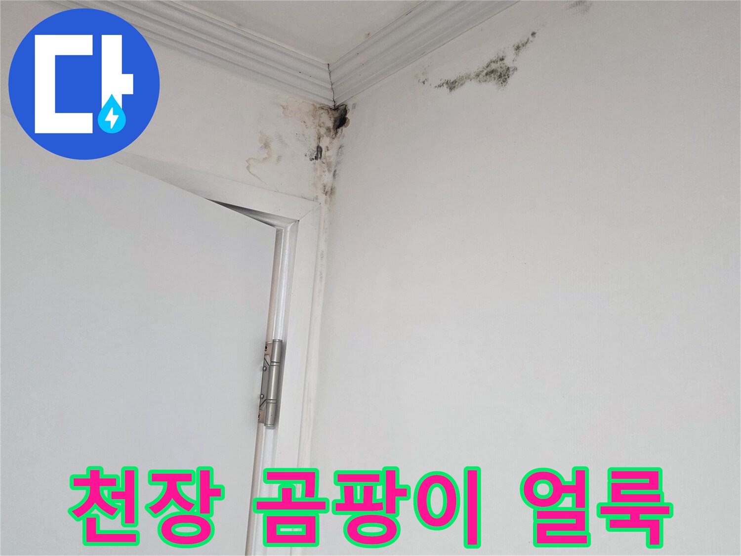 용인 상하동 아파트 천장 모서리 곰팡이 발생 상태