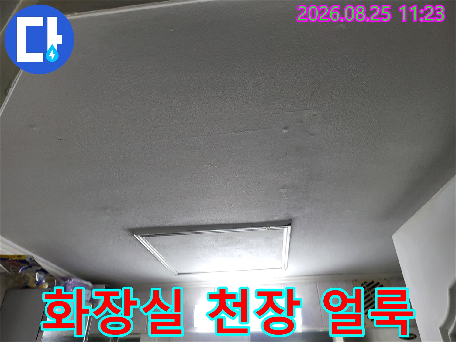 고양시 중산동 화장실 천장 부분에 발생한 누수 흔적과 얼룩 현상