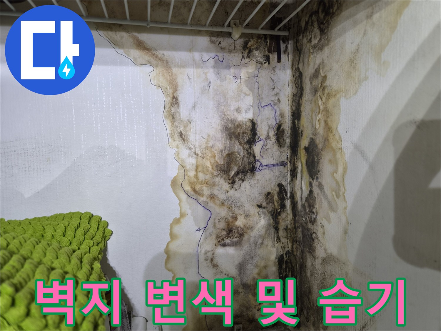 벽지 곳곳에 나타난 누런 얼룩과 곰팡이 증상-누수 진단 현장