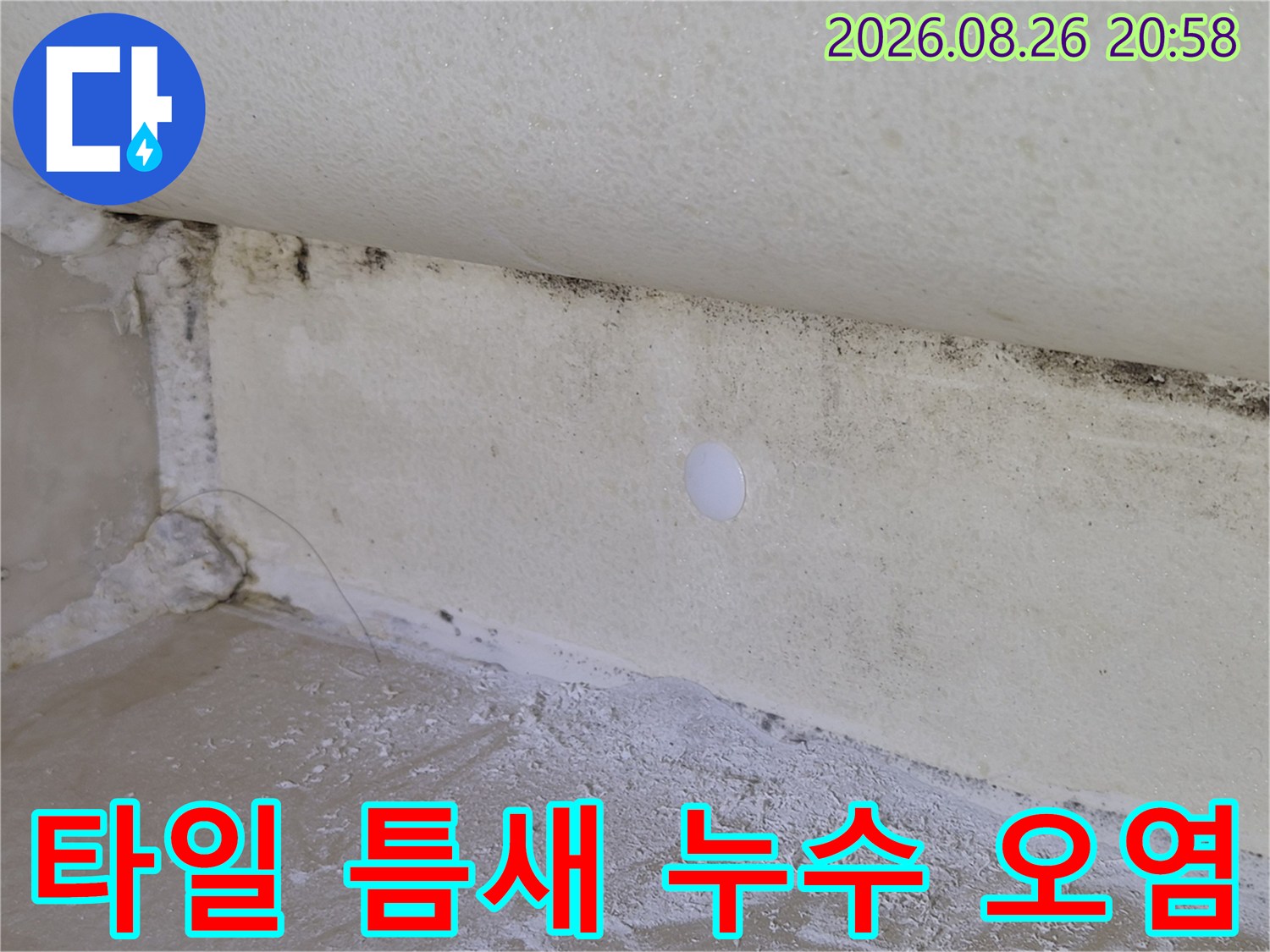 습기로 얼룩진-욕실 타일 및 줄눈 부위 상세 사진