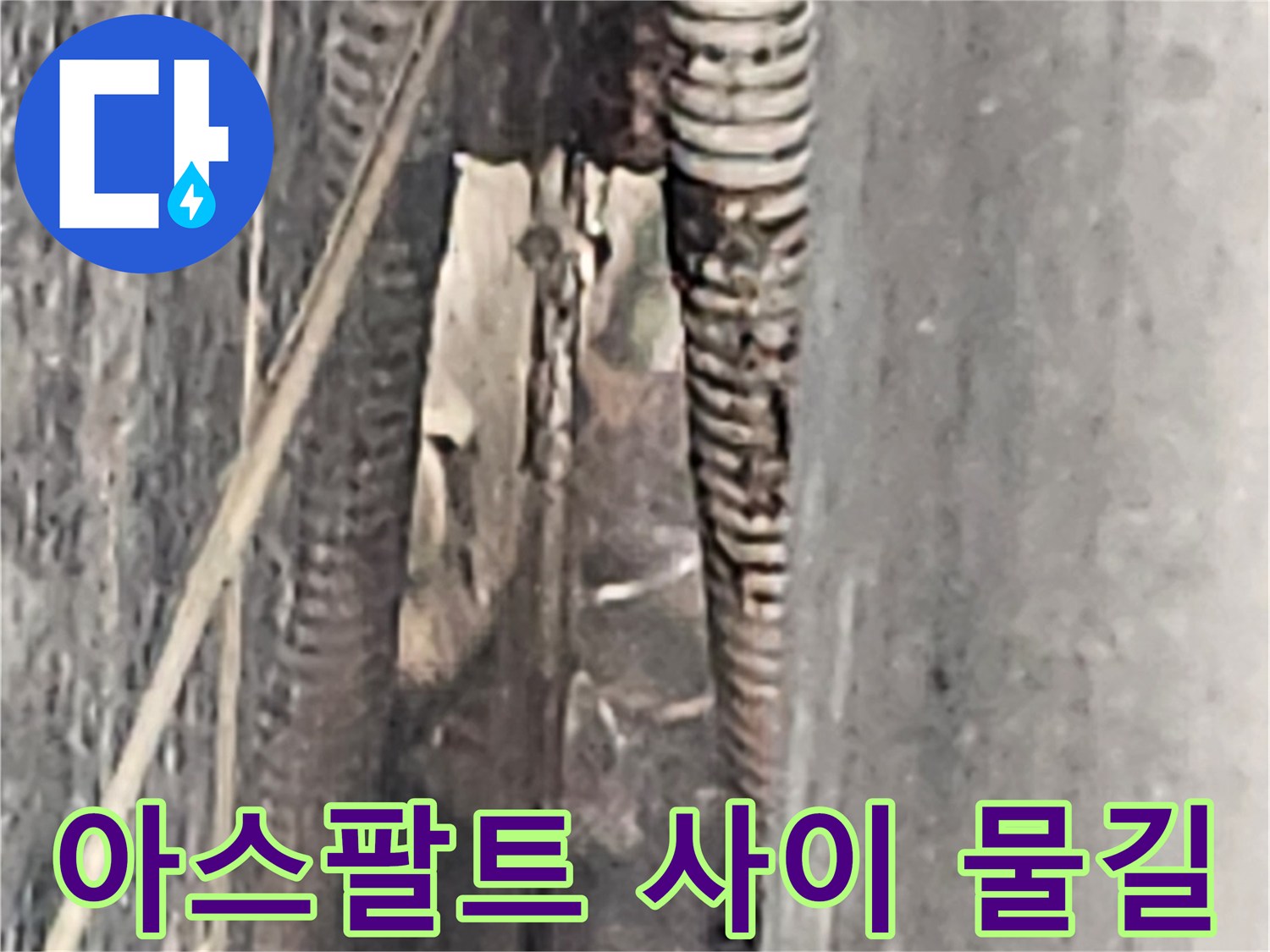 배수-배관-주변의-물고임과-틈새-발견