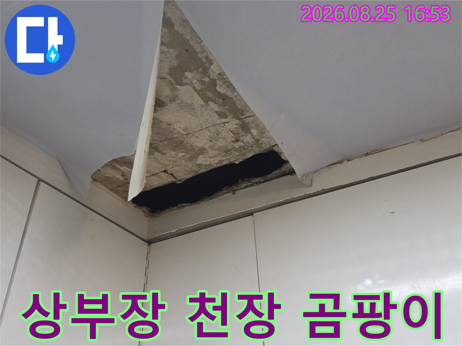 상부장과 천장이 만나는 모서리 부근의 곰팡이 오염 상태