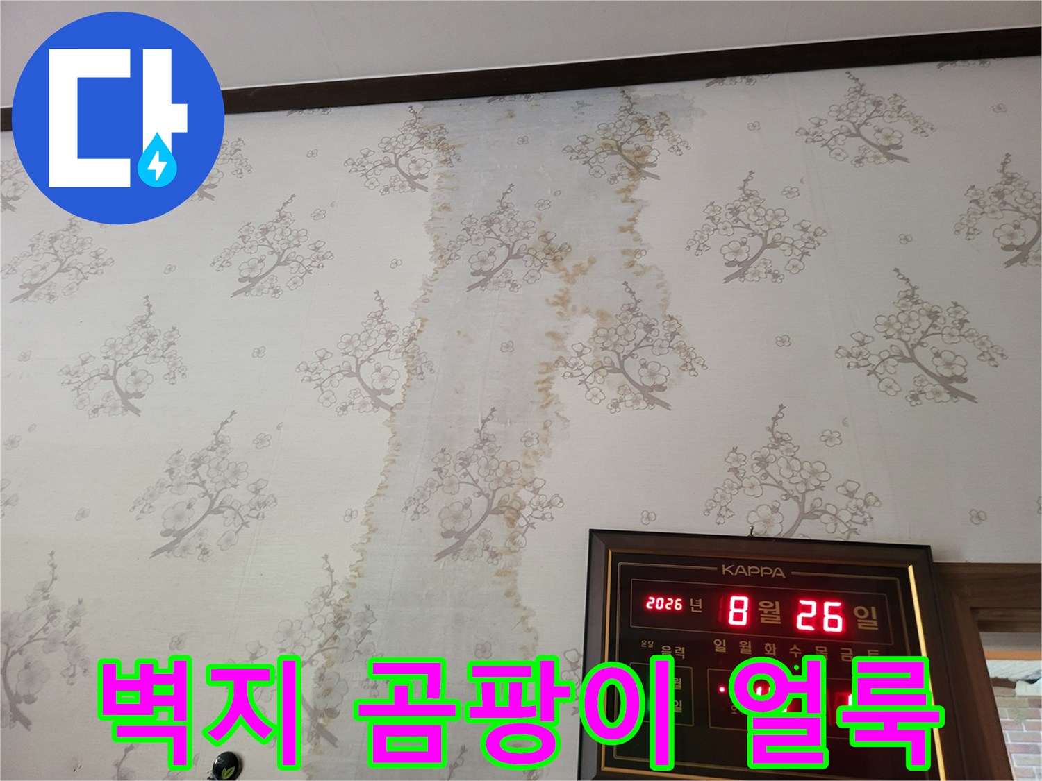 보령 남포면 현장의 벽지 곰양 및 물자국 상태
