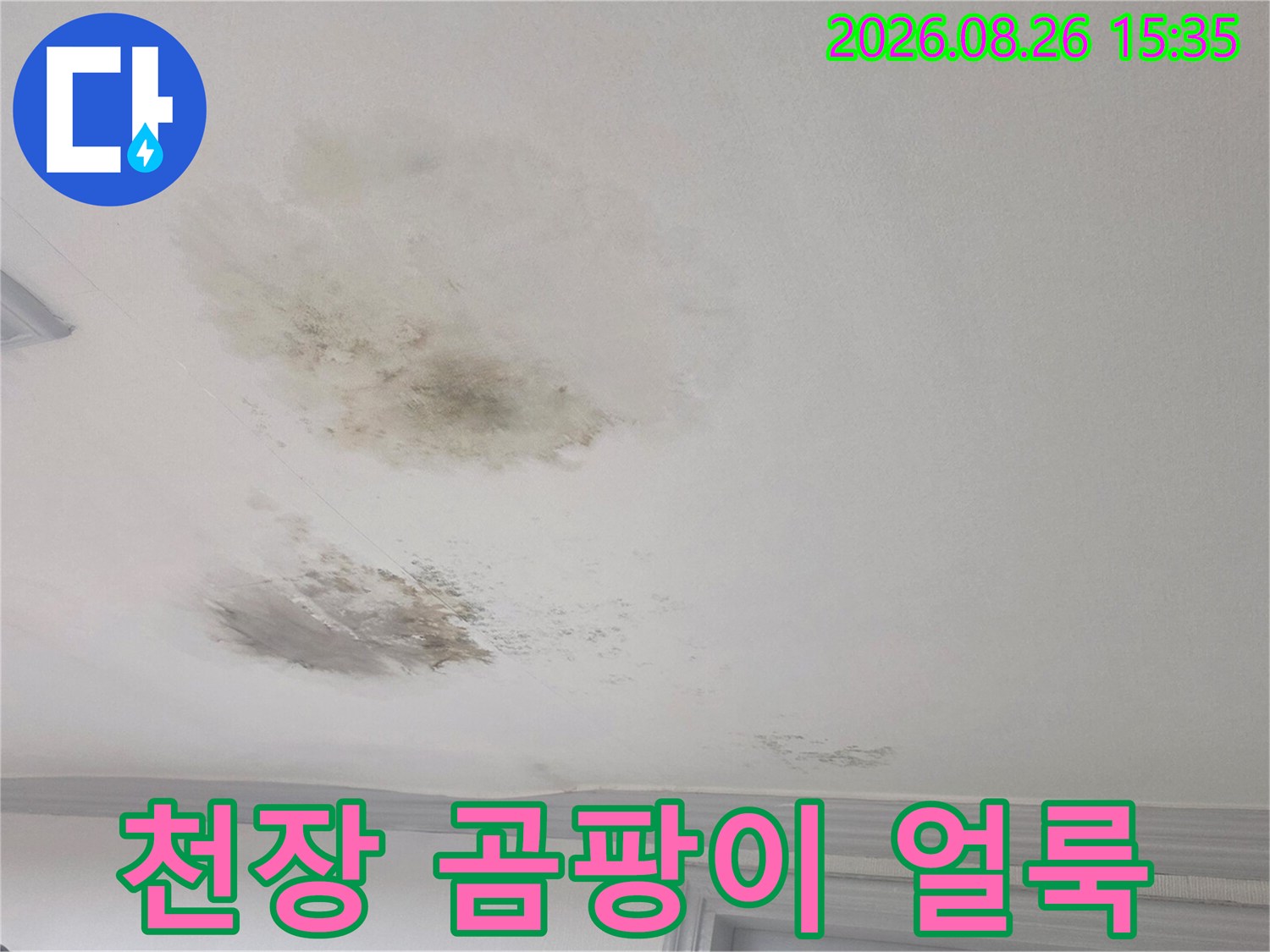 경기 광주시 송정동 빌라 천장에 발생한 넓은 곰팡이와 습기 흔적