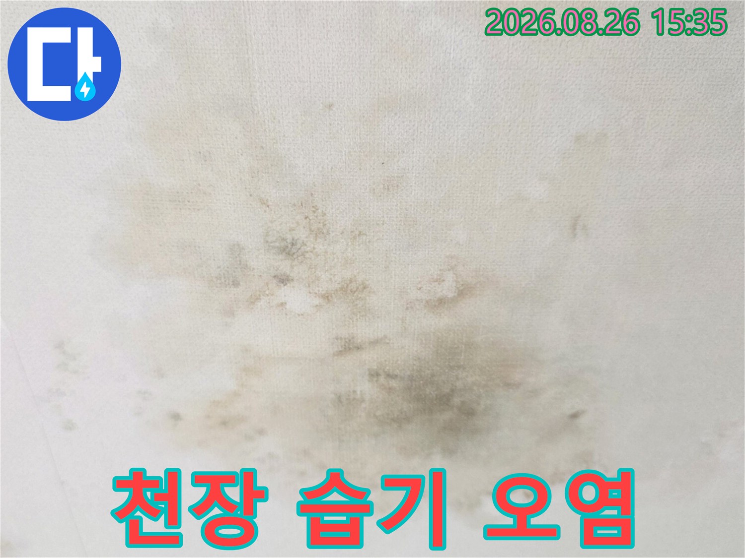넓게 번진 갈색 누수 얼룩과 천장 곰팡이 발생 부위