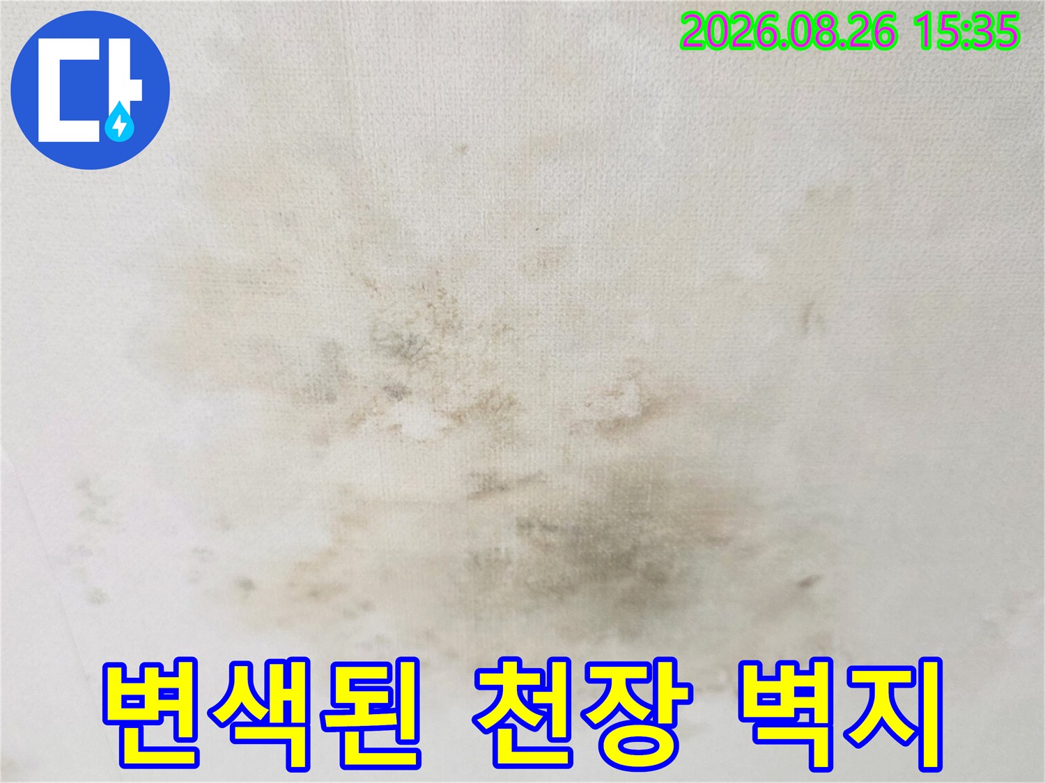 습기로 인해 누렇게 변색되고 곰팡이가 발생한 천장 부위