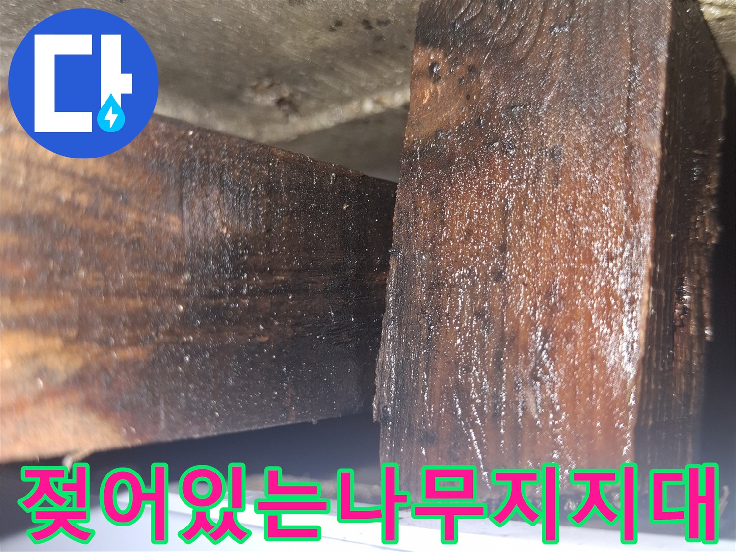 물샘-증상으로-축축하게-젖은-내부-목재