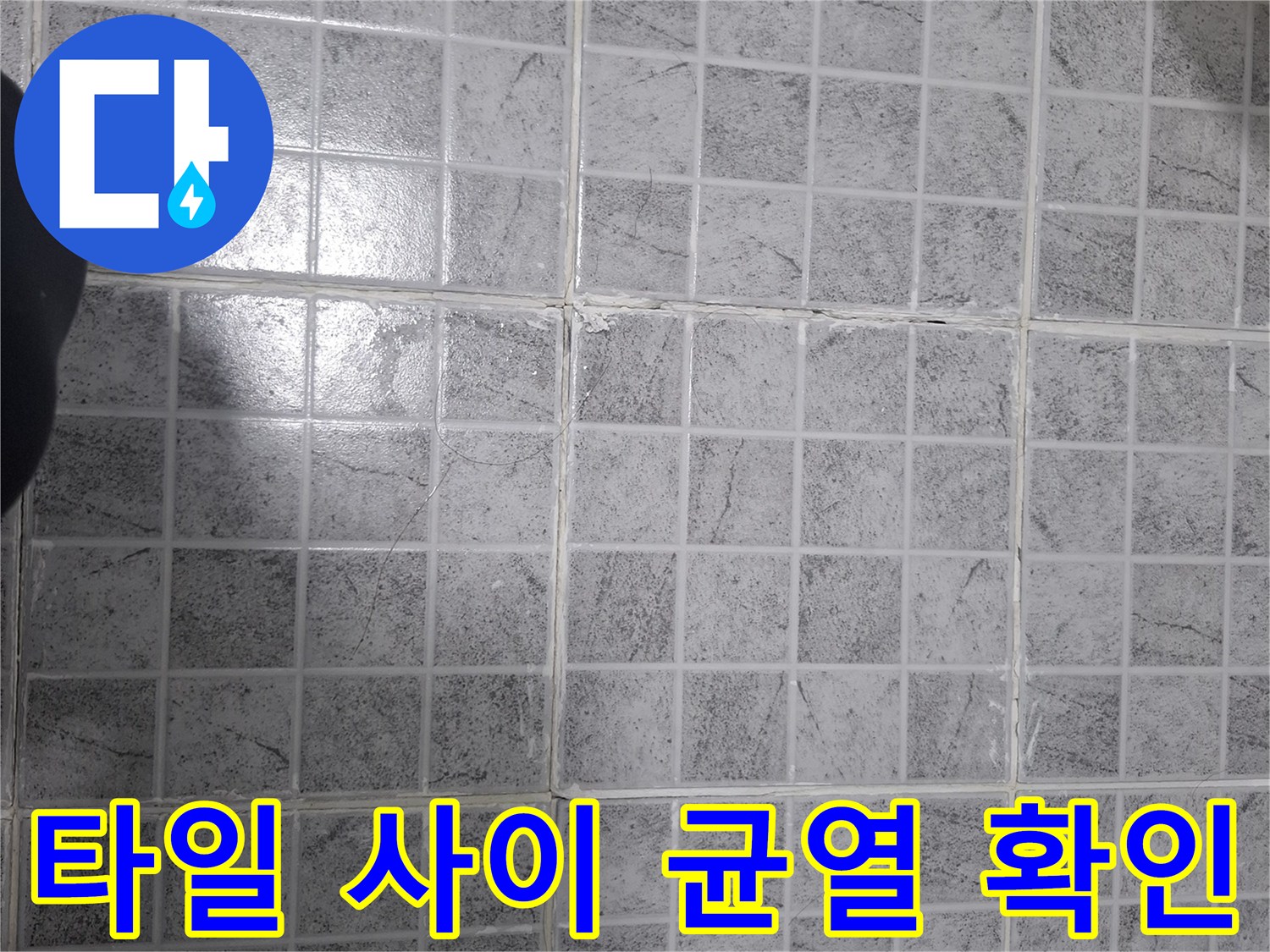 양천구 목동 현장-욕실 타일 줄눈 및 균열 상태 점검 사진