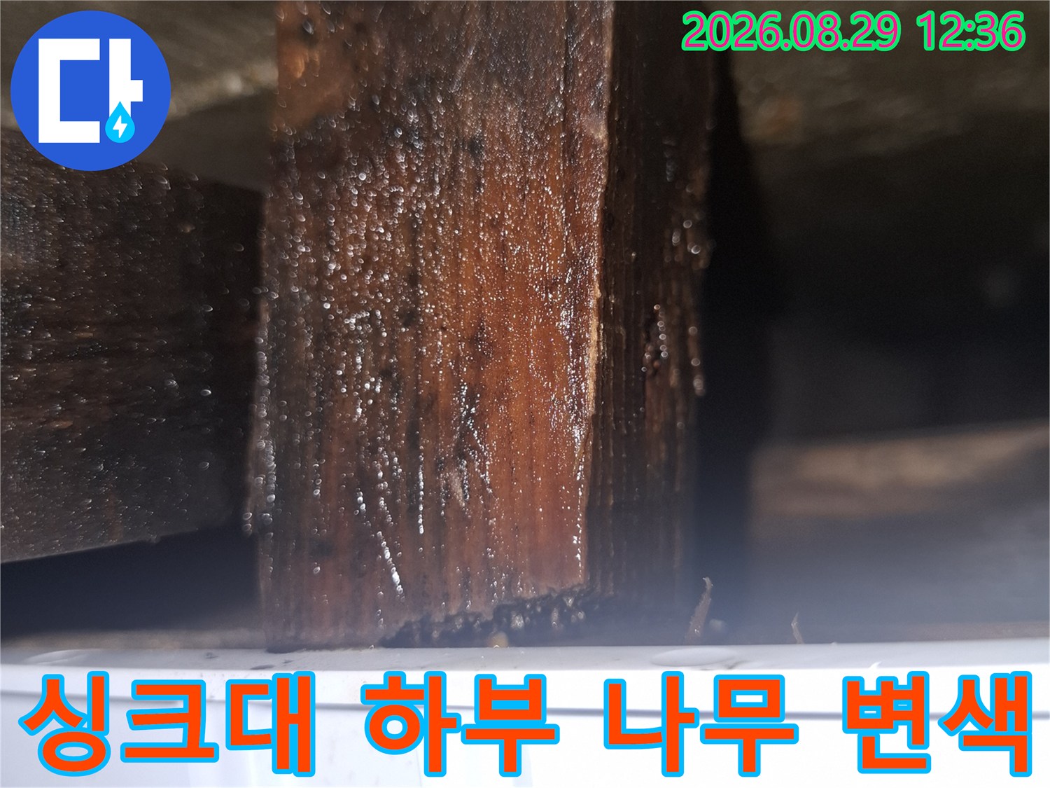 양천구 목동 현장의 싱크대 하부장 나무 부재가 습기로 인해 검게 변색된 모습입니다.