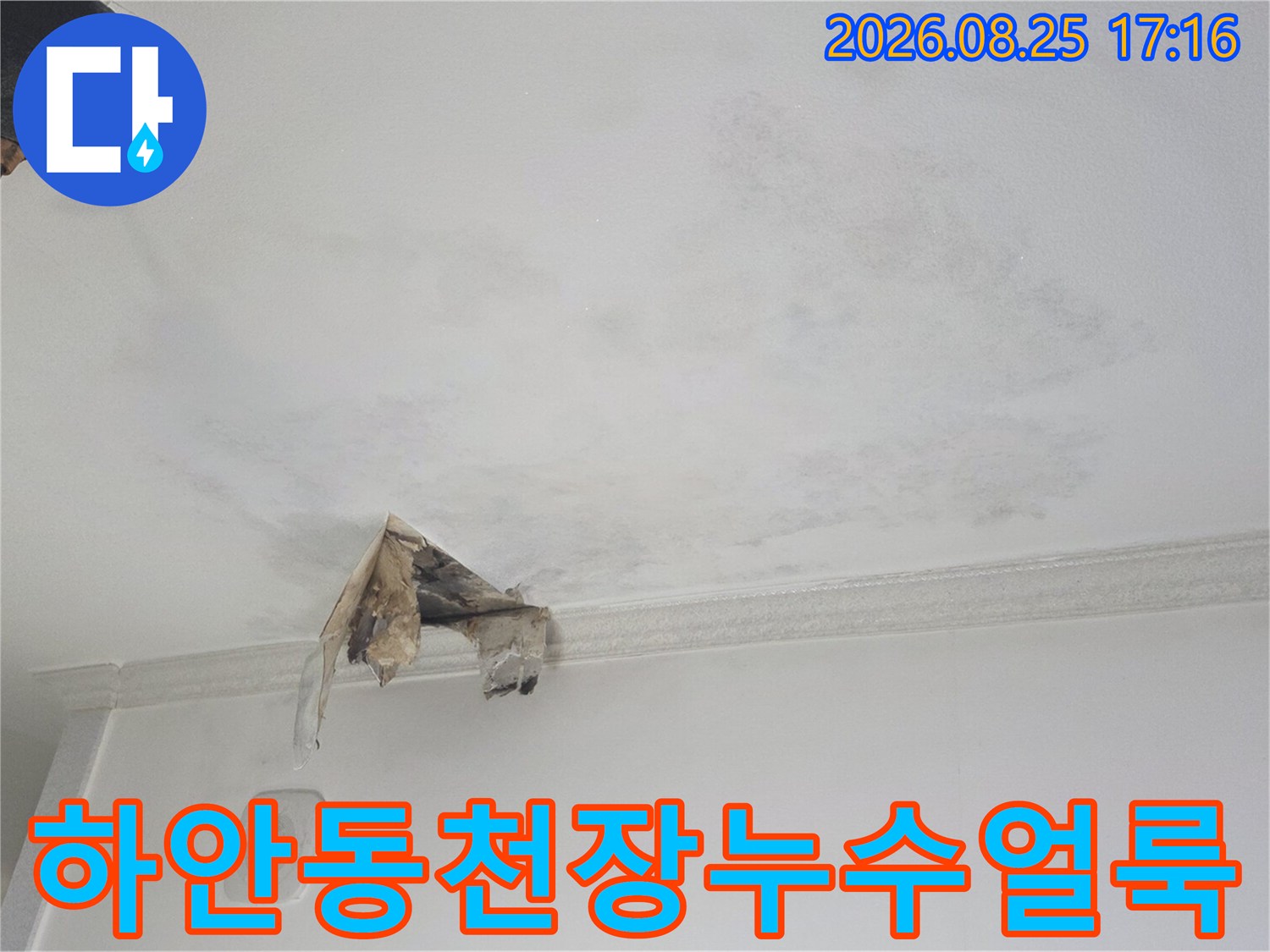 광명 하안동 아랫집 천장의 물에 젖은 얼룩과 훼손된 마감재 모습입니다.