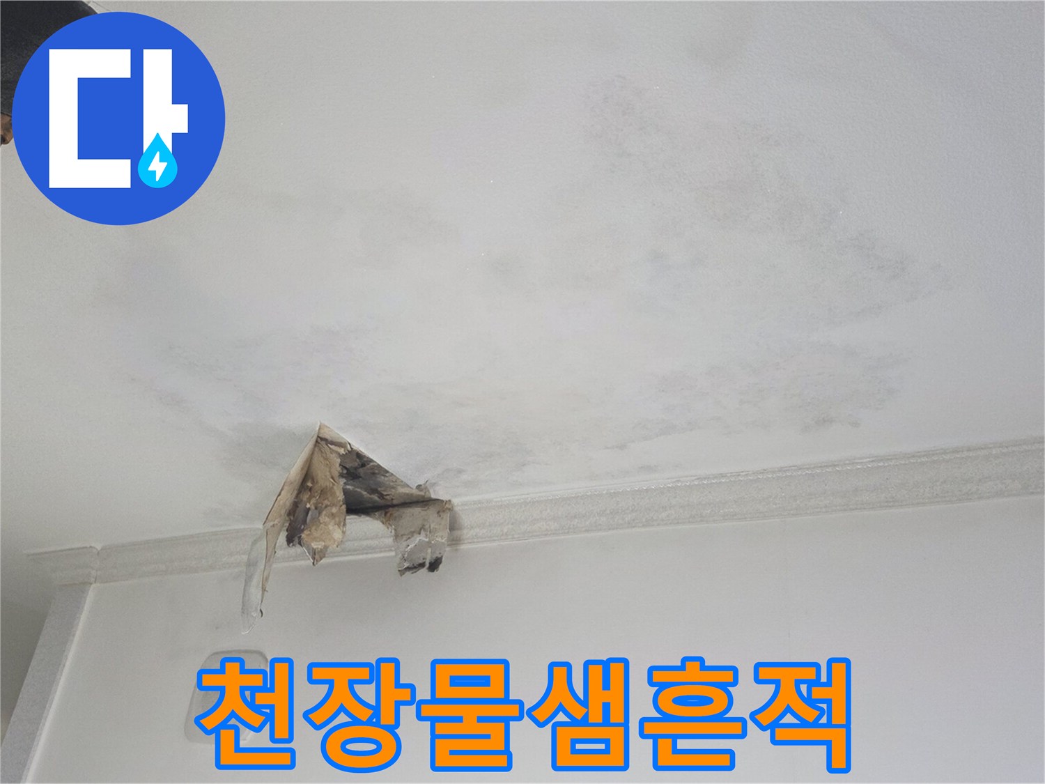 광명-하안동-아파트-천장-누수-얼룩-및-곰팡이-상태