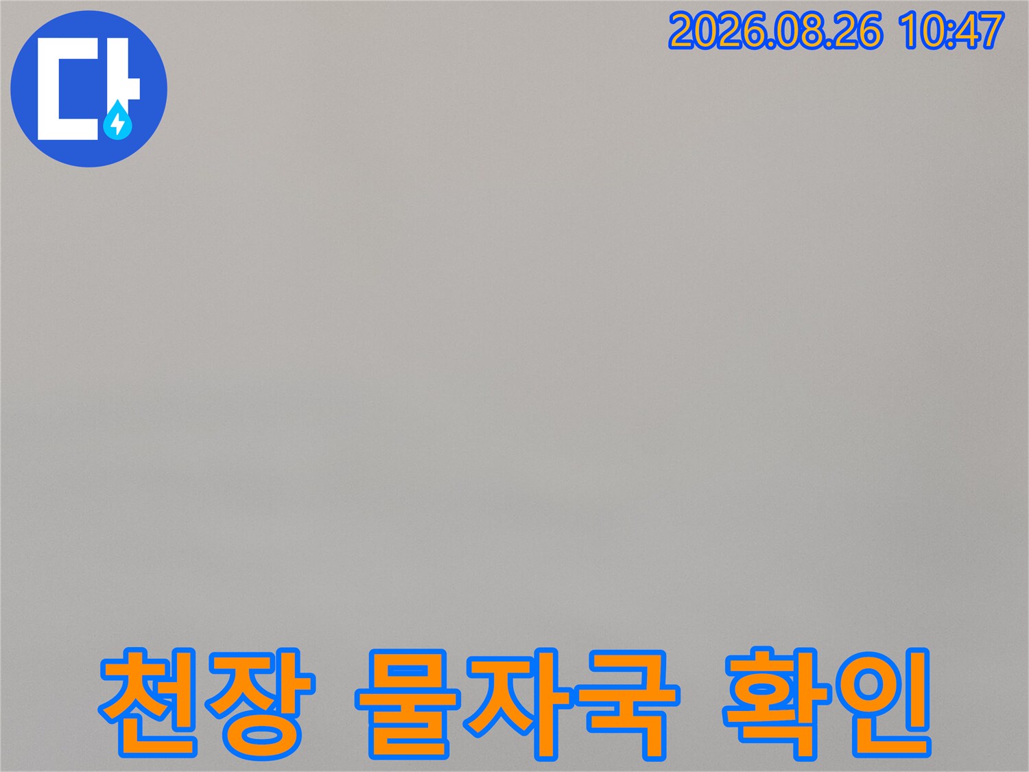지하층 천장에 발생한-어두운 색의 누수 흔적 및 얼룩 상태