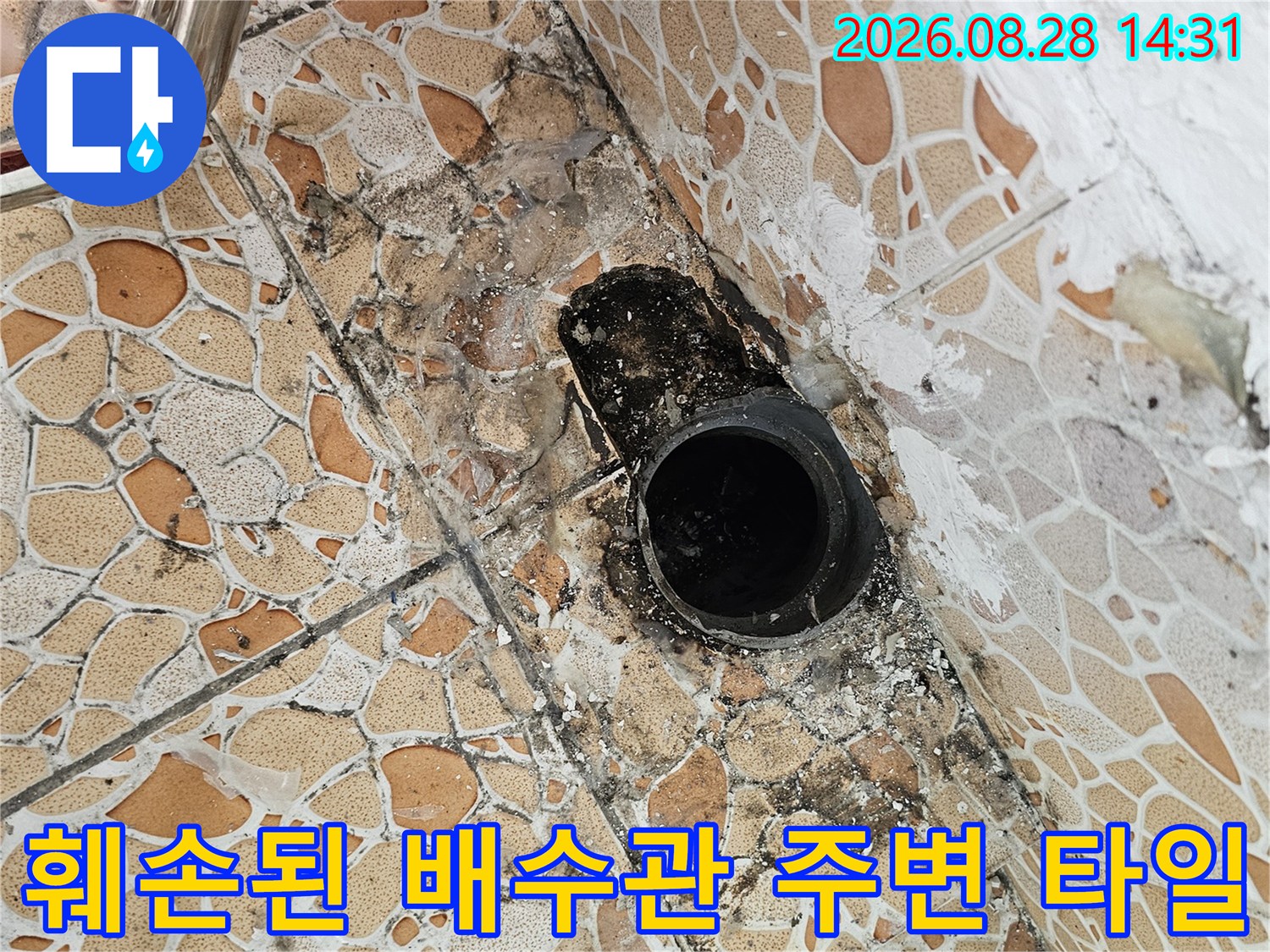 누수로 인해 곰팡이가 발생한 베란다 배수관 주변 타일 부위