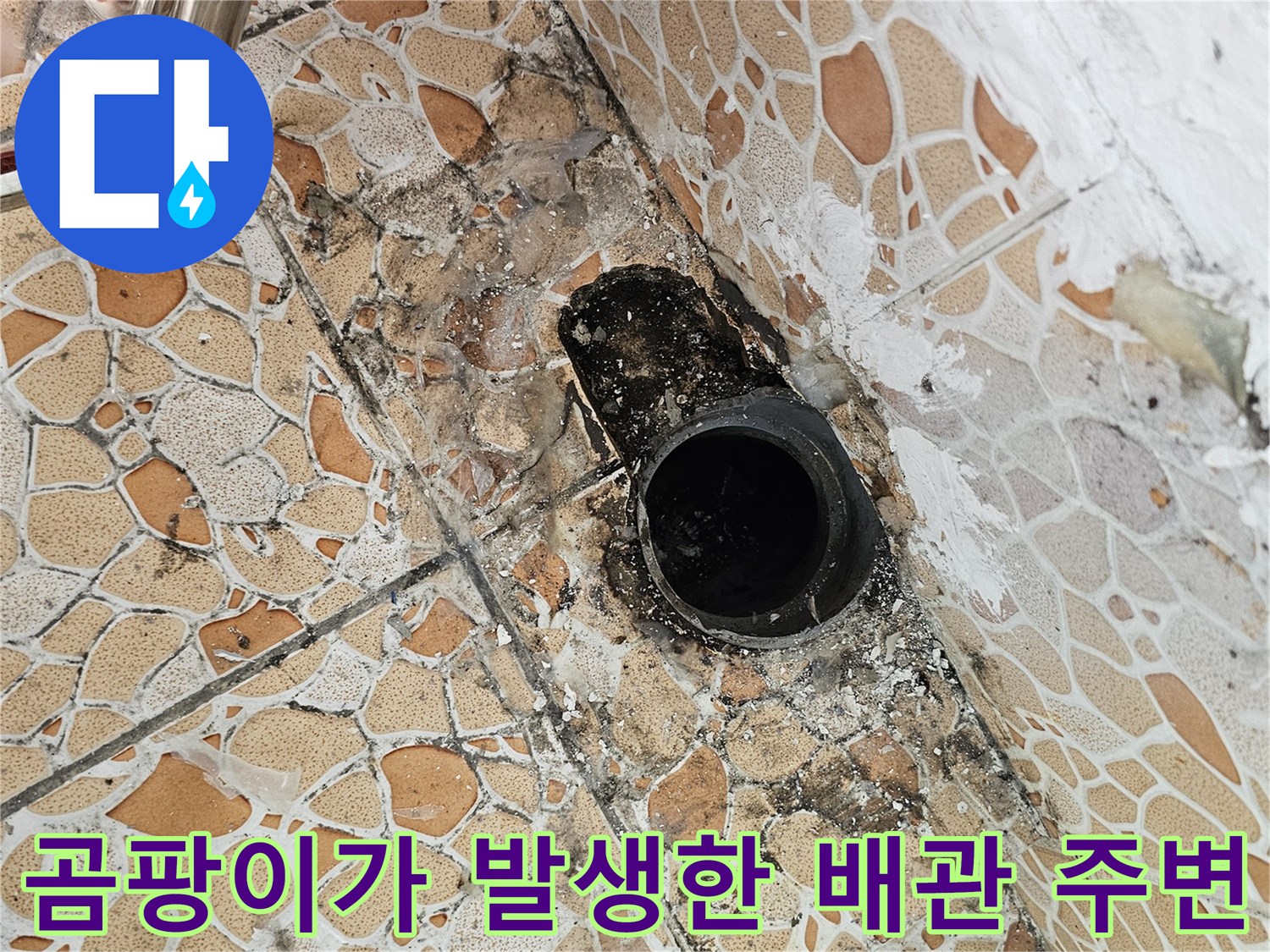 배관 입구의 검은 곰팡이와 타일 오염 부위