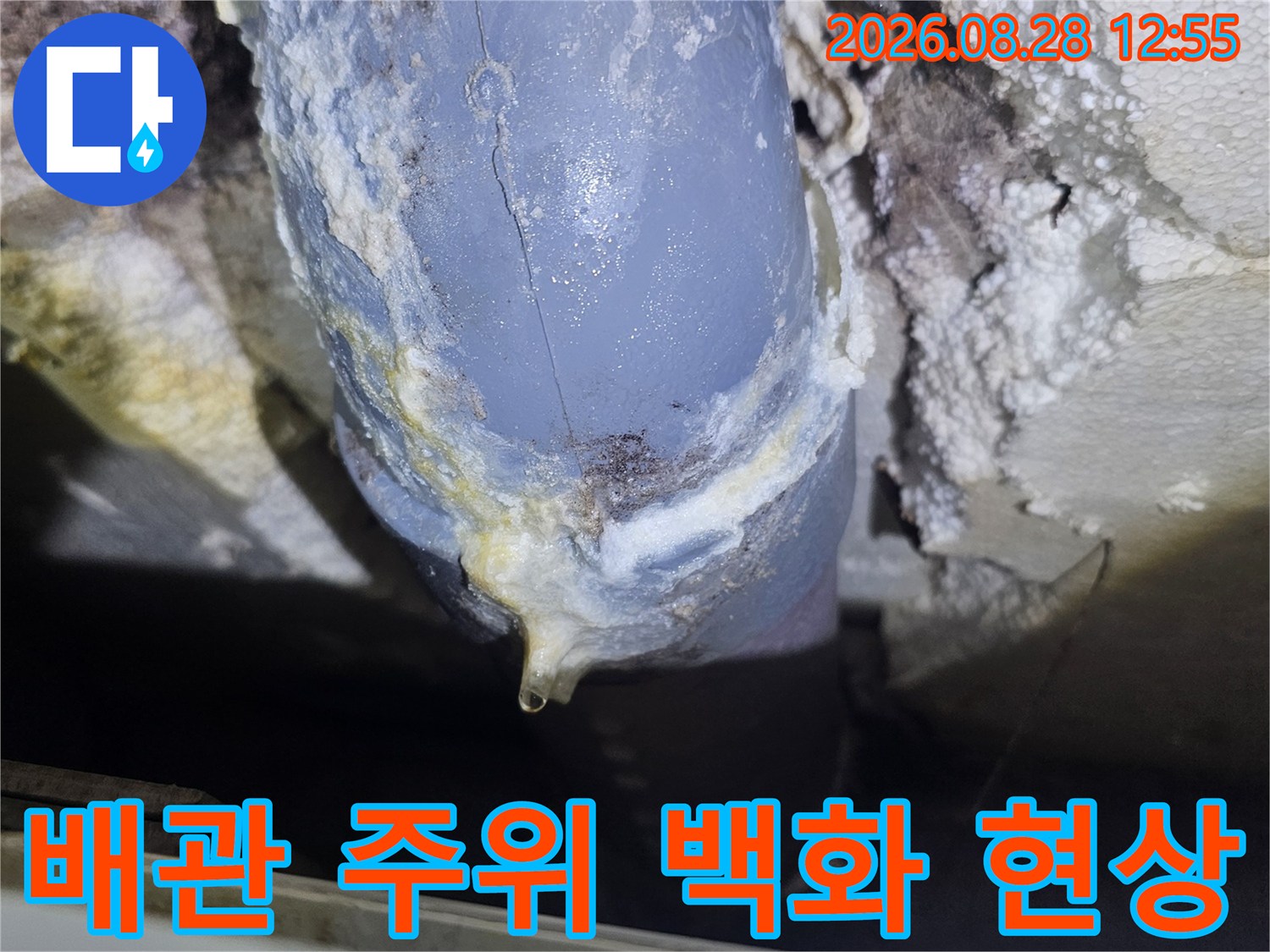 배수관 주변에 하얗게 발생한 백화 현상과 누수 흔적