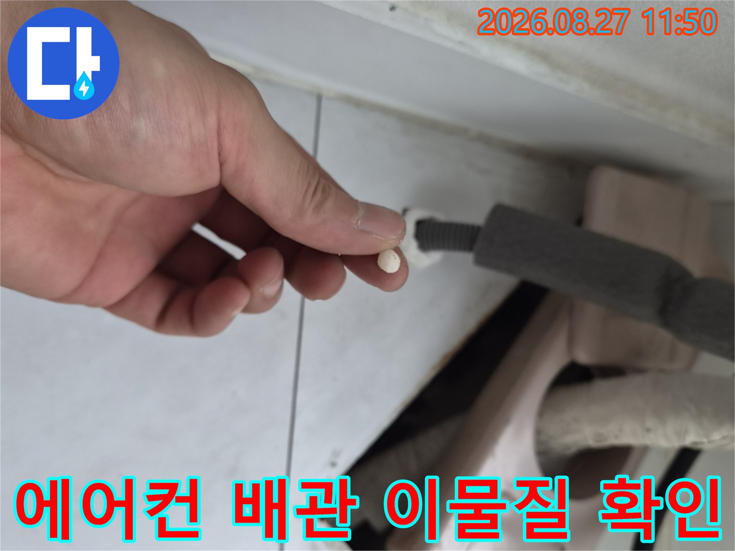 에어–컨 드레인 배관 내부에서 발견된 하얀색 이물질 덩어리