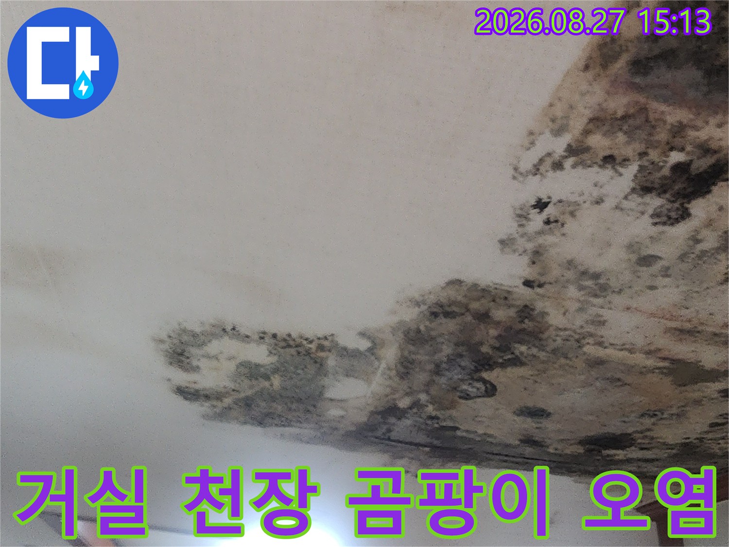 심한 누수 흔적과 함께 발생한 거실 천장 벽지 곰팡이