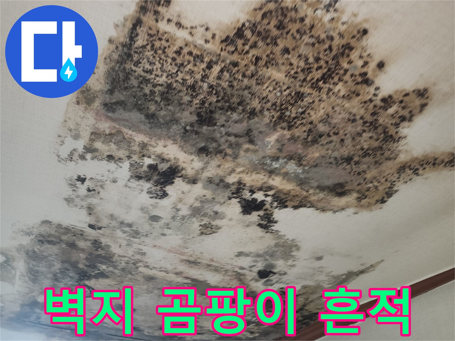 천장 벽면을 타고 번진 곰팡이와 젖은 자국