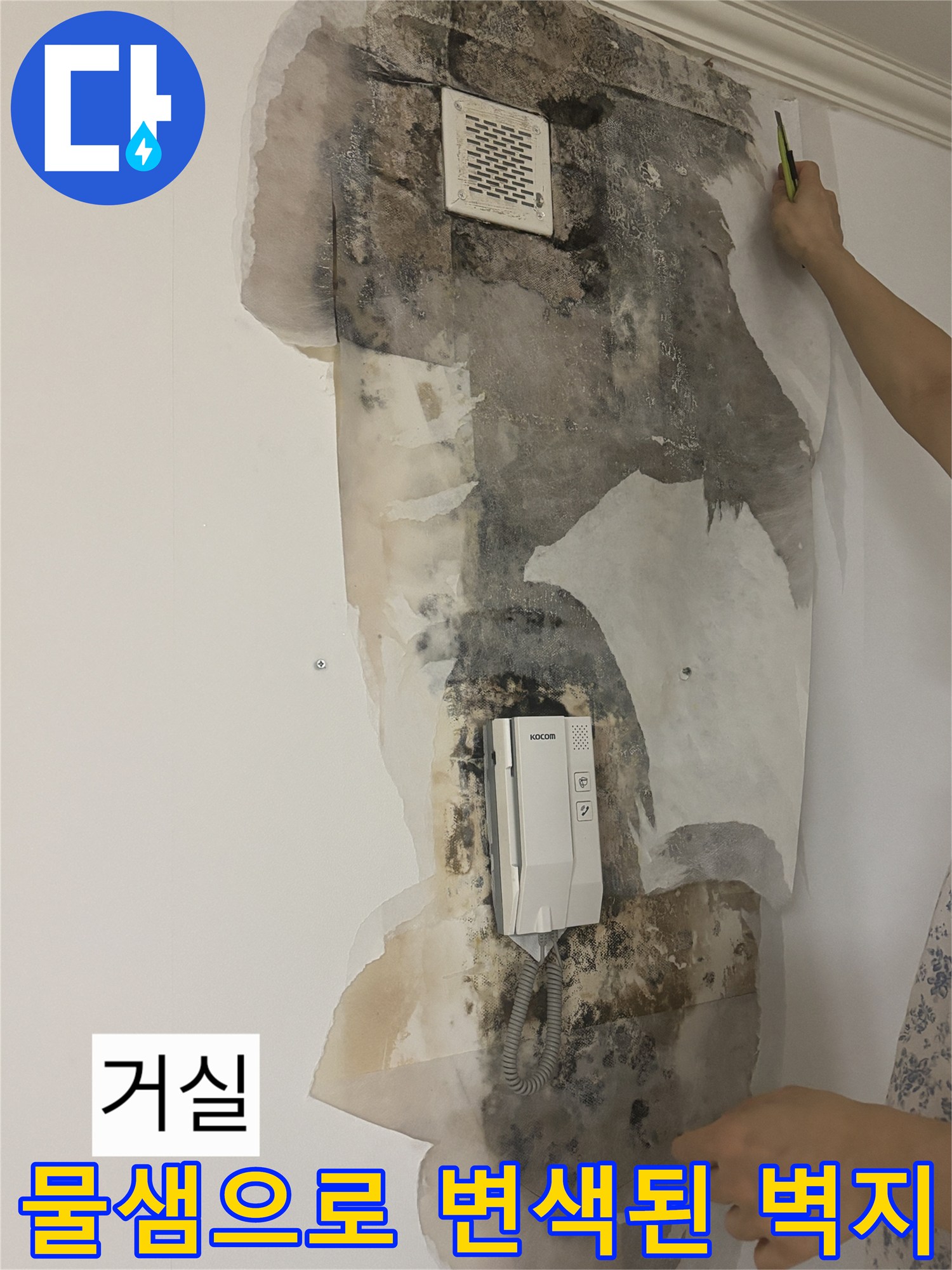 심하게 오염된 거실 벽면의 누수 피해 부위 상세 사진