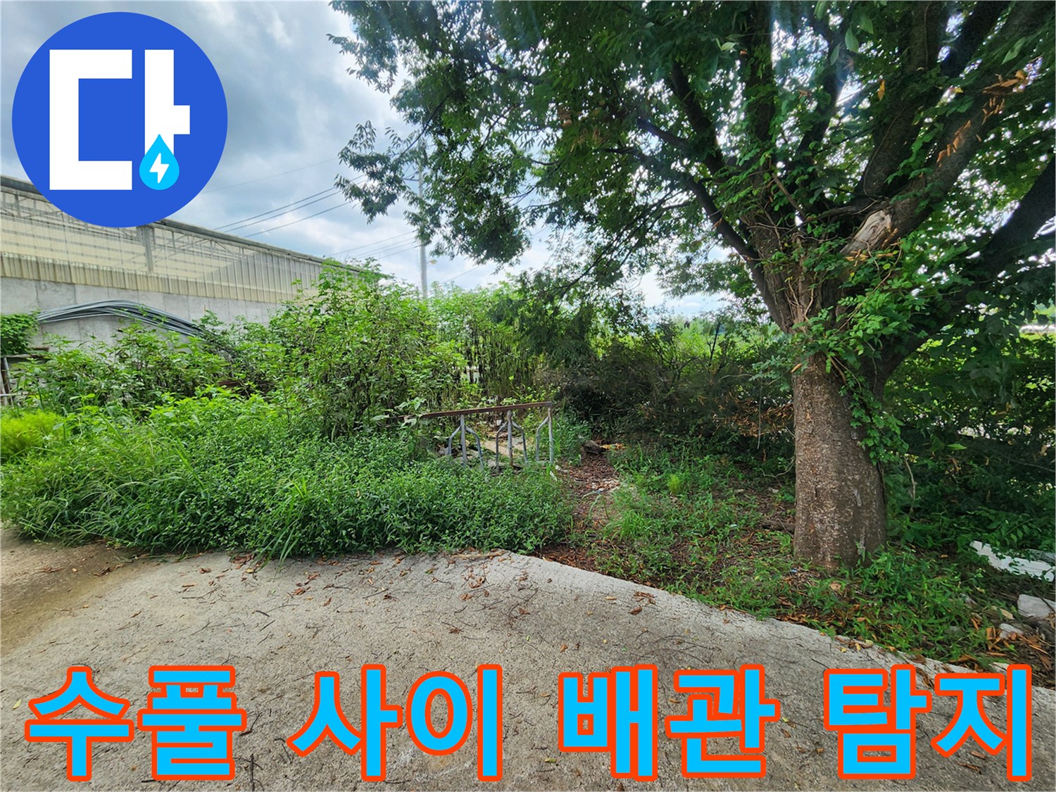 나무와 수풀이 많은 야외 환경에서 진행된 상수도 누수 정밀 진단 현장