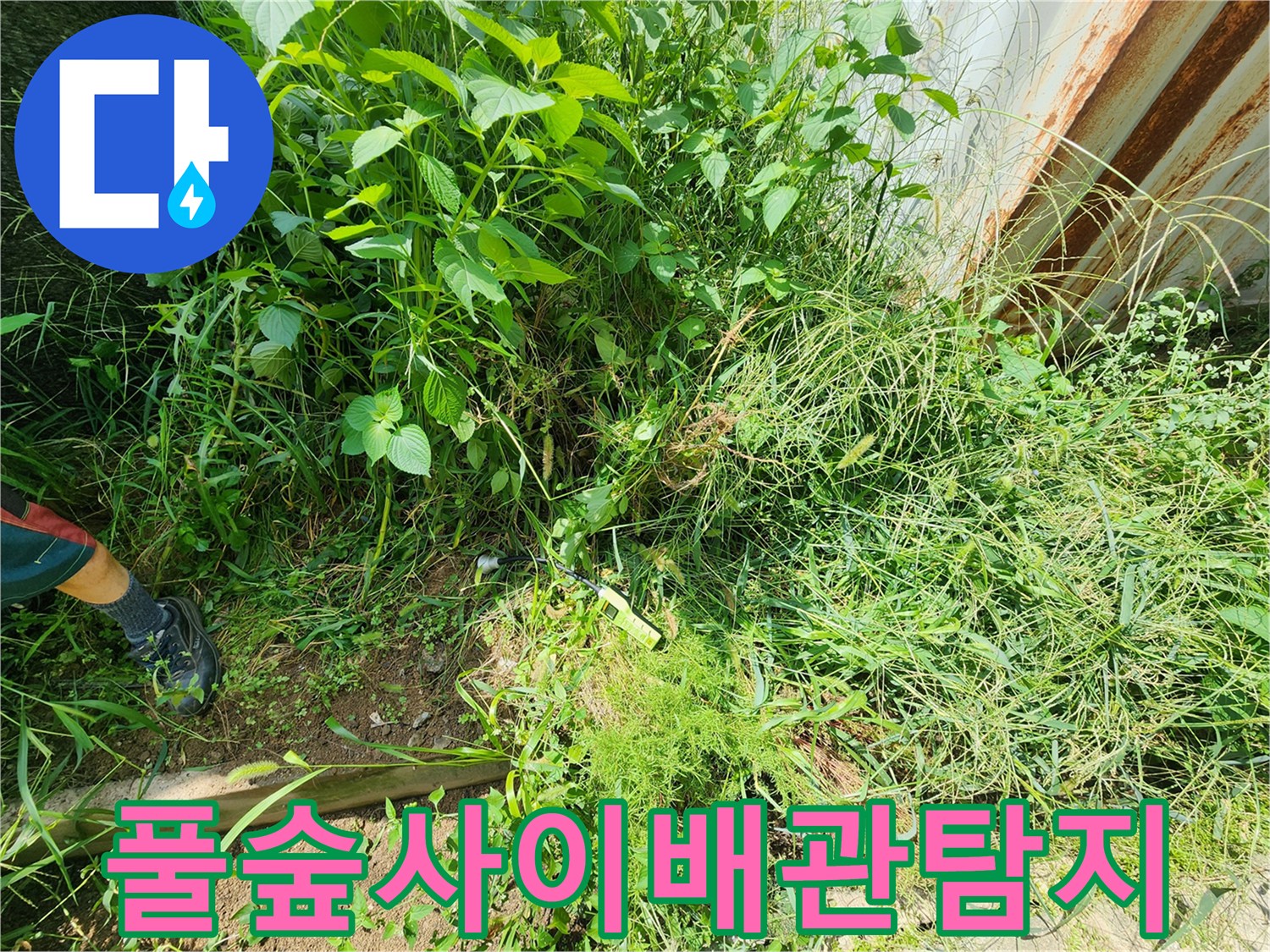 무성한 풀숲-배관 누수 지점 추적 중인 현장 모습