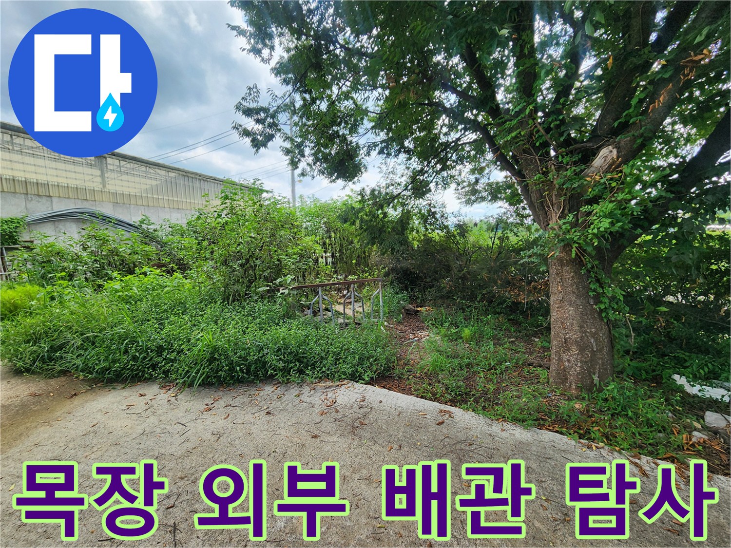 양주 남면 목장 야외 배관 주변의 누수 지점을 찾기 위한 정밀 탐색 과정입니다.