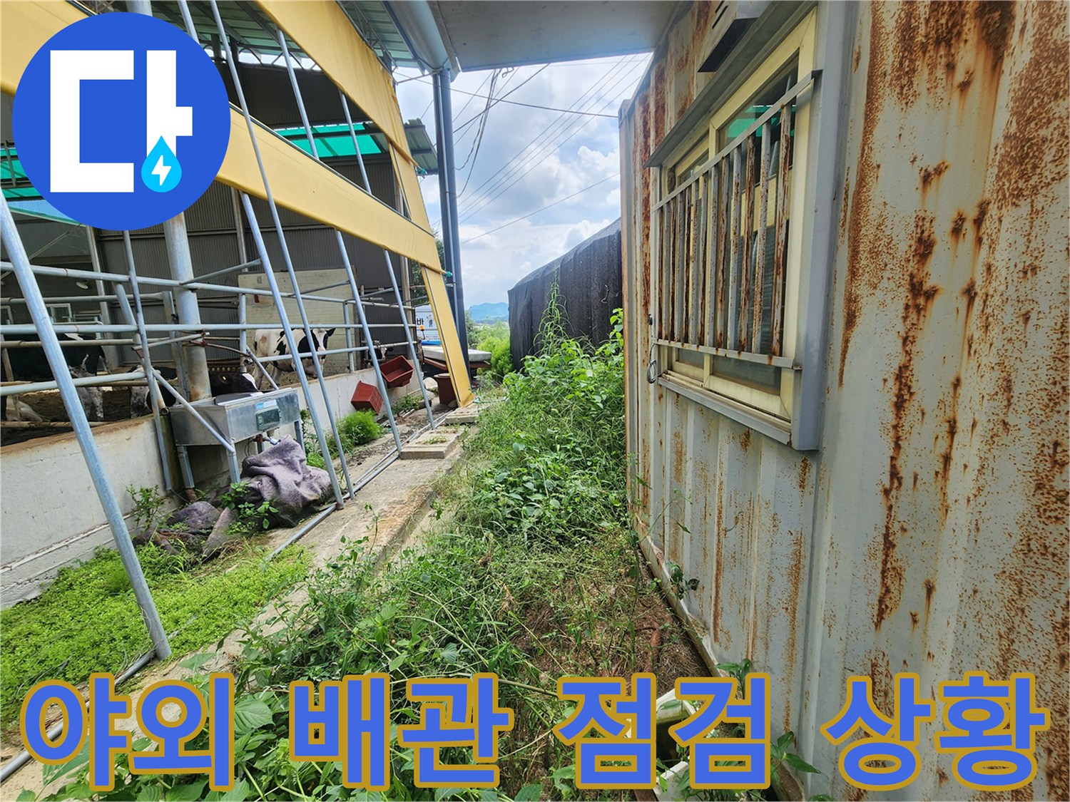 양주시 남면-수풀 사이 매설된 배관 주변 정밀 진단