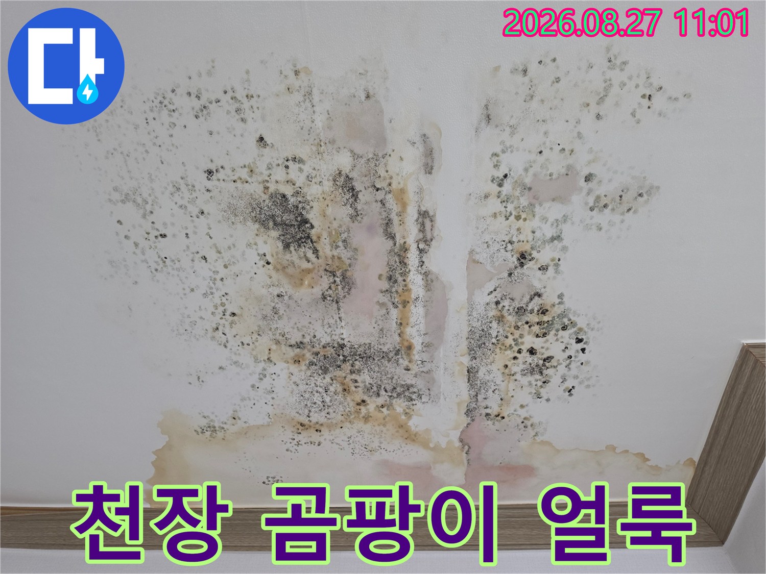 금산군 금산읍 아파트 천장에 발생한 검은 곰팡이와 누수 흔적