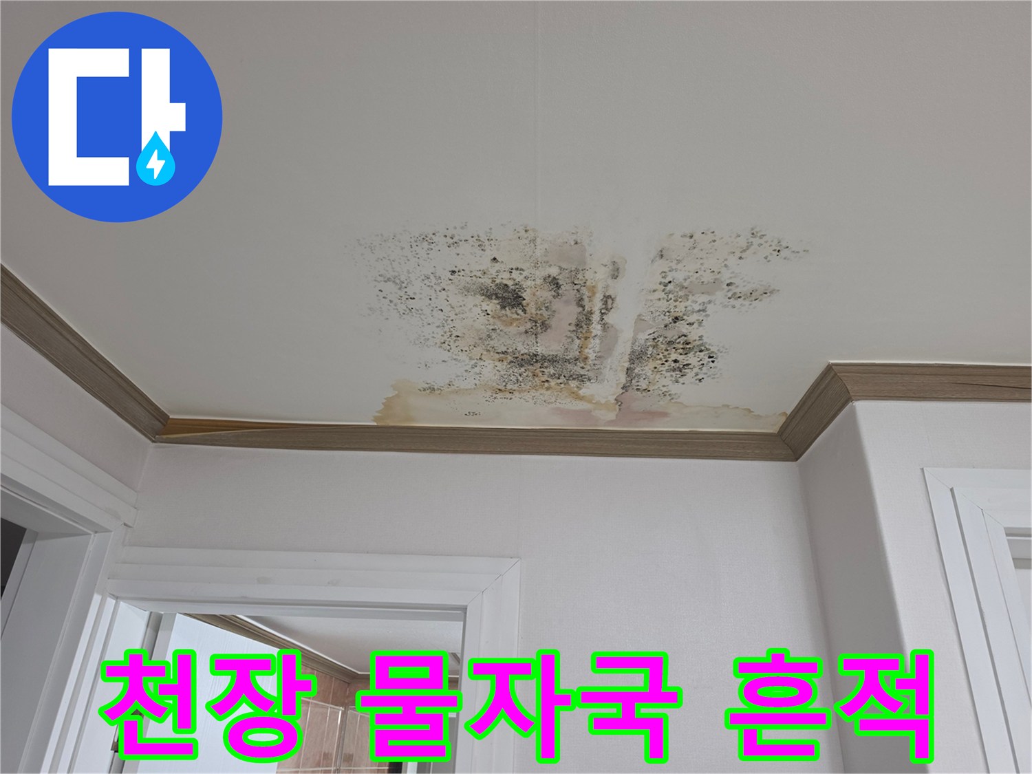 금산읍-아파트-천장-물자국-및-변색-상태