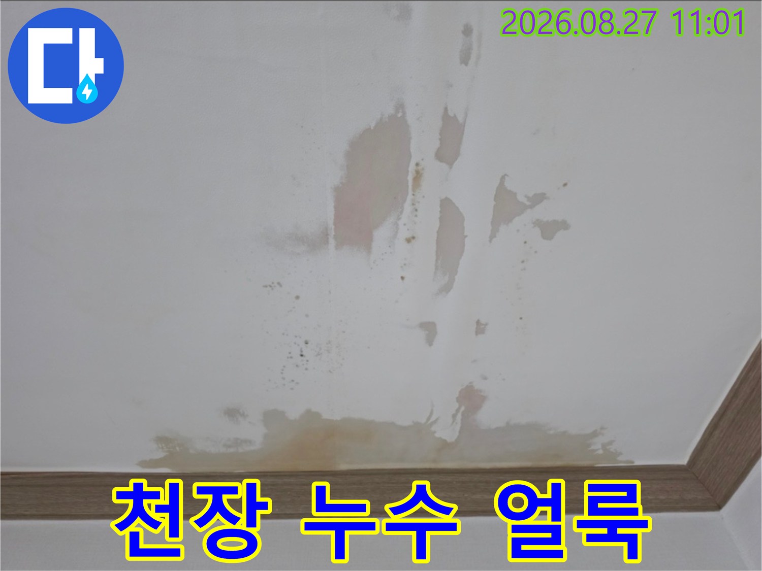 금산읍 아파트 천장에 발생한 넓은 물자국과 누수 흔적