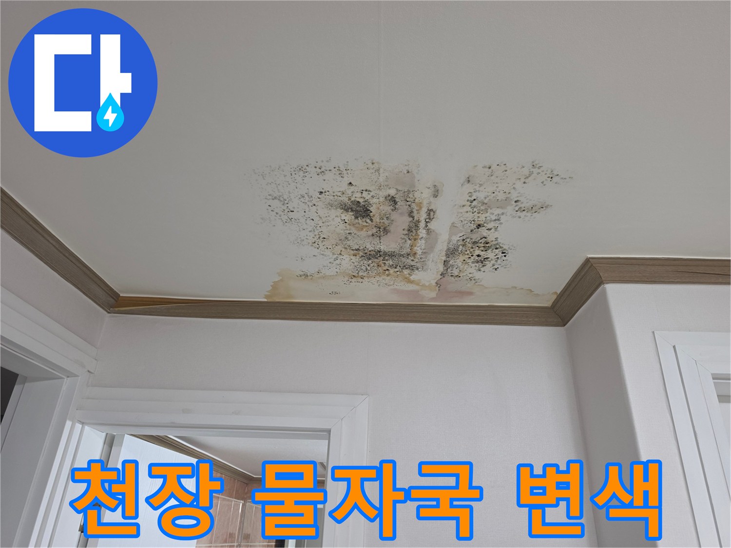 누수로 인해 넓게 퍼진 천장의 곰팡이와 얼룩 부위