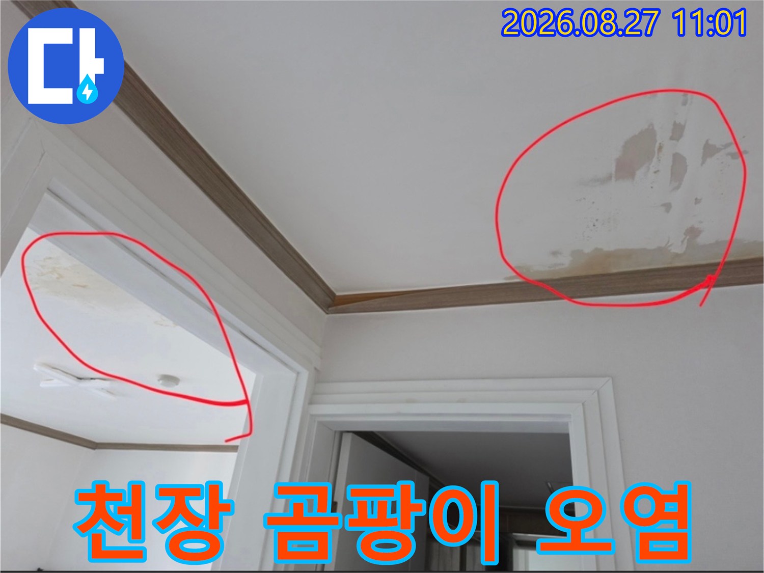 천장 벽지 곳곳에 나타난 습기 오염과 변색된 부위입니다.