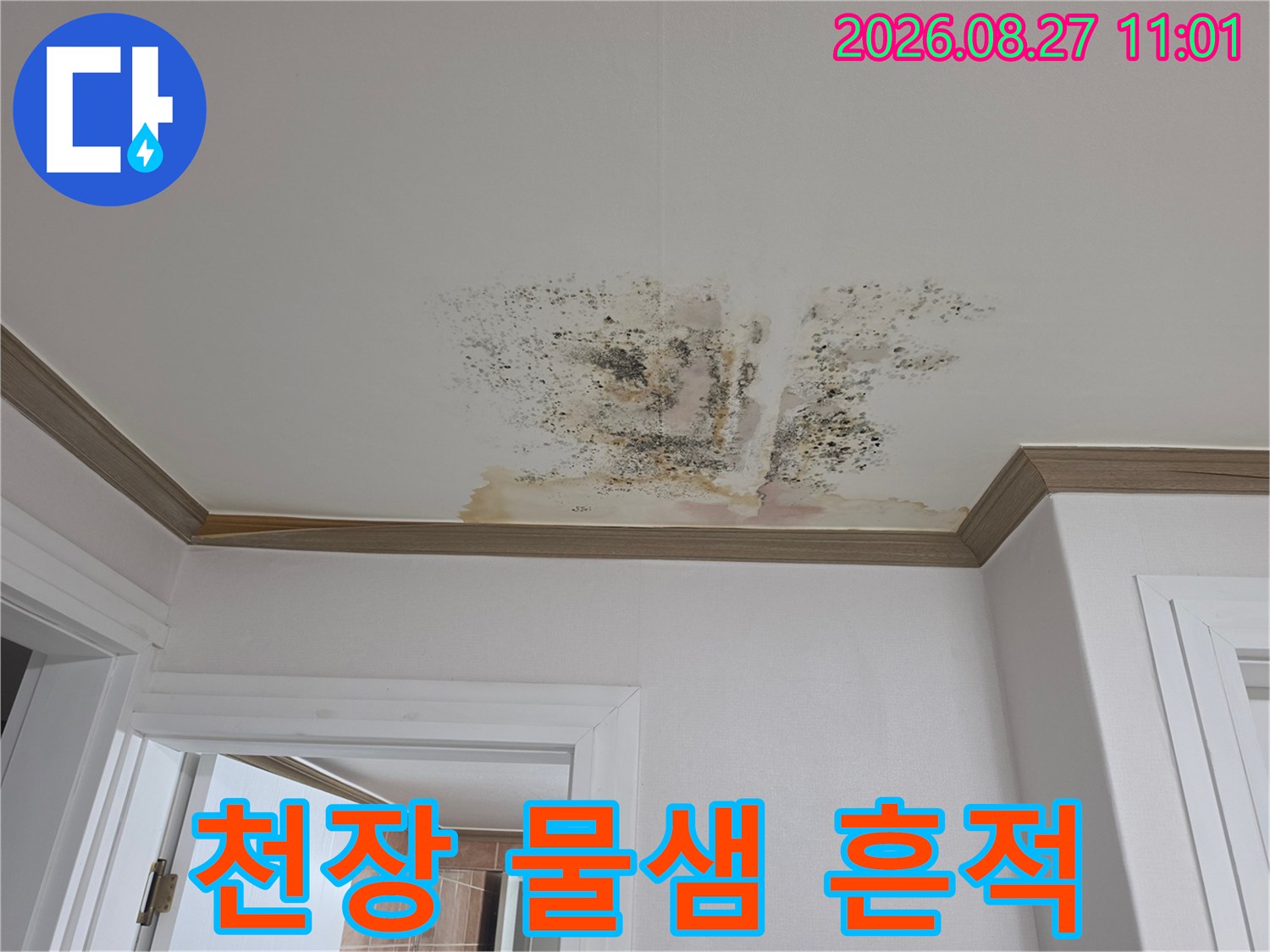 천장 벽지에 나타난 누수로 인한 갈색 얼룩과 곰팡이