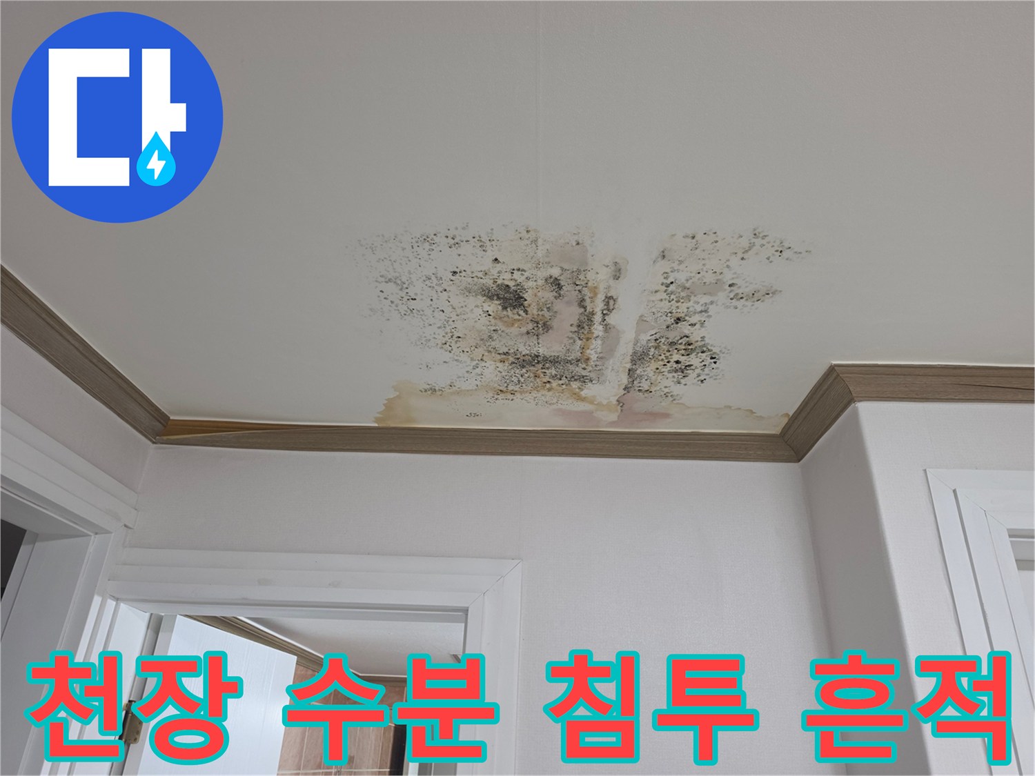천장 중앙부의 심한 변색과 곰팡이 번식 상태를 보여주는 사진